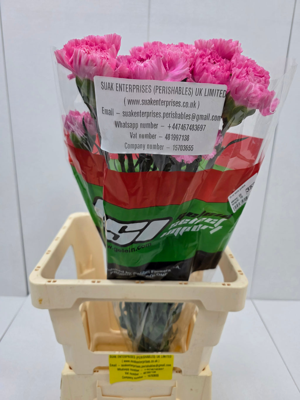 Farm Fresh Carnation Tonic Golem (Bunch of 20stems, Length 70cm)