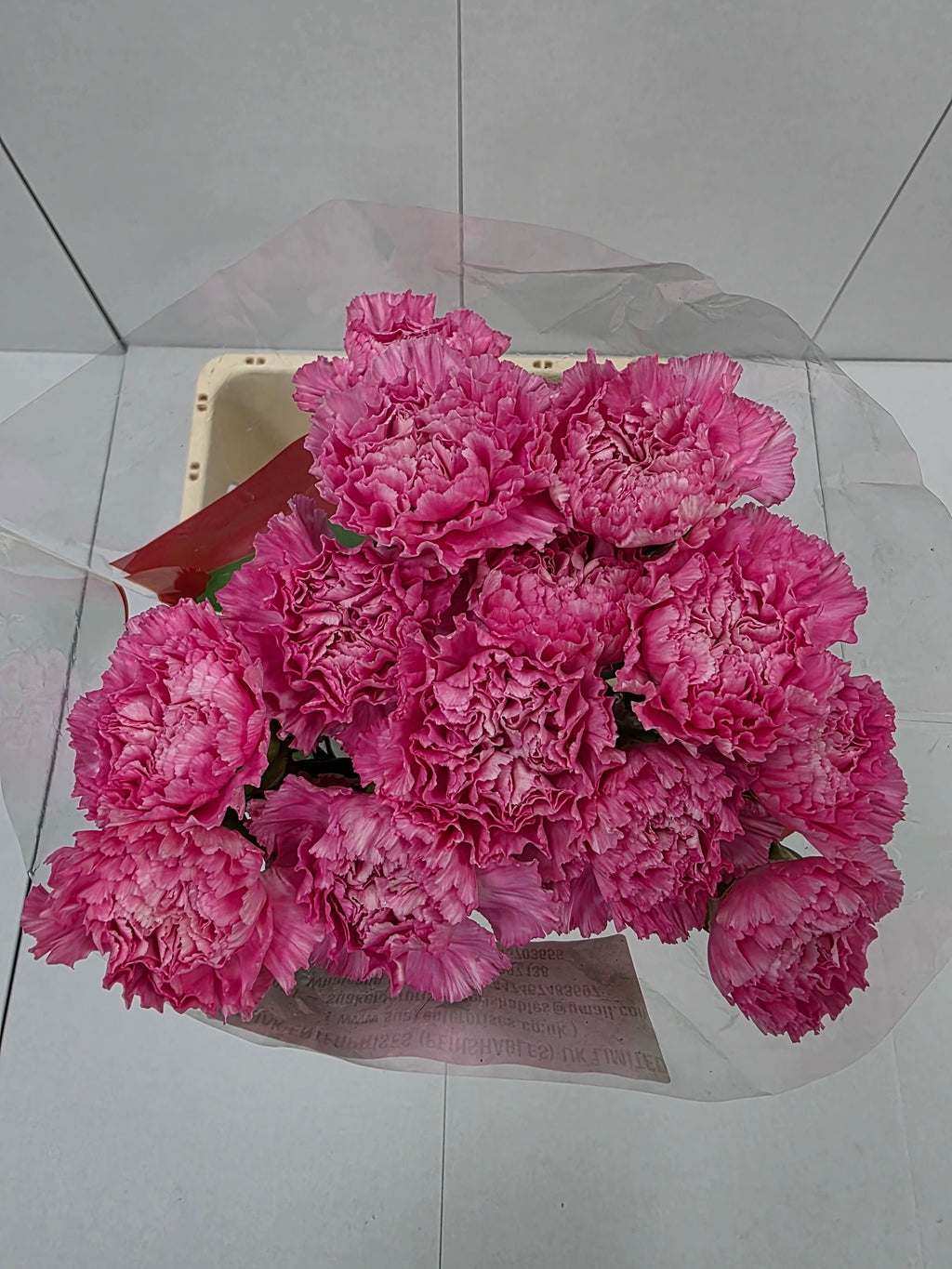 Farm Fresh Carnation Tonic Golem (Bunch of 20stems, Length 70cm)