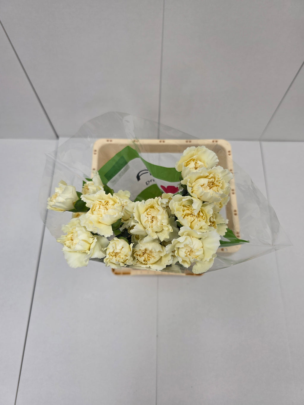 Farm Fresh Carnation Cream(Bunch of 25 stems, Length 70cm)