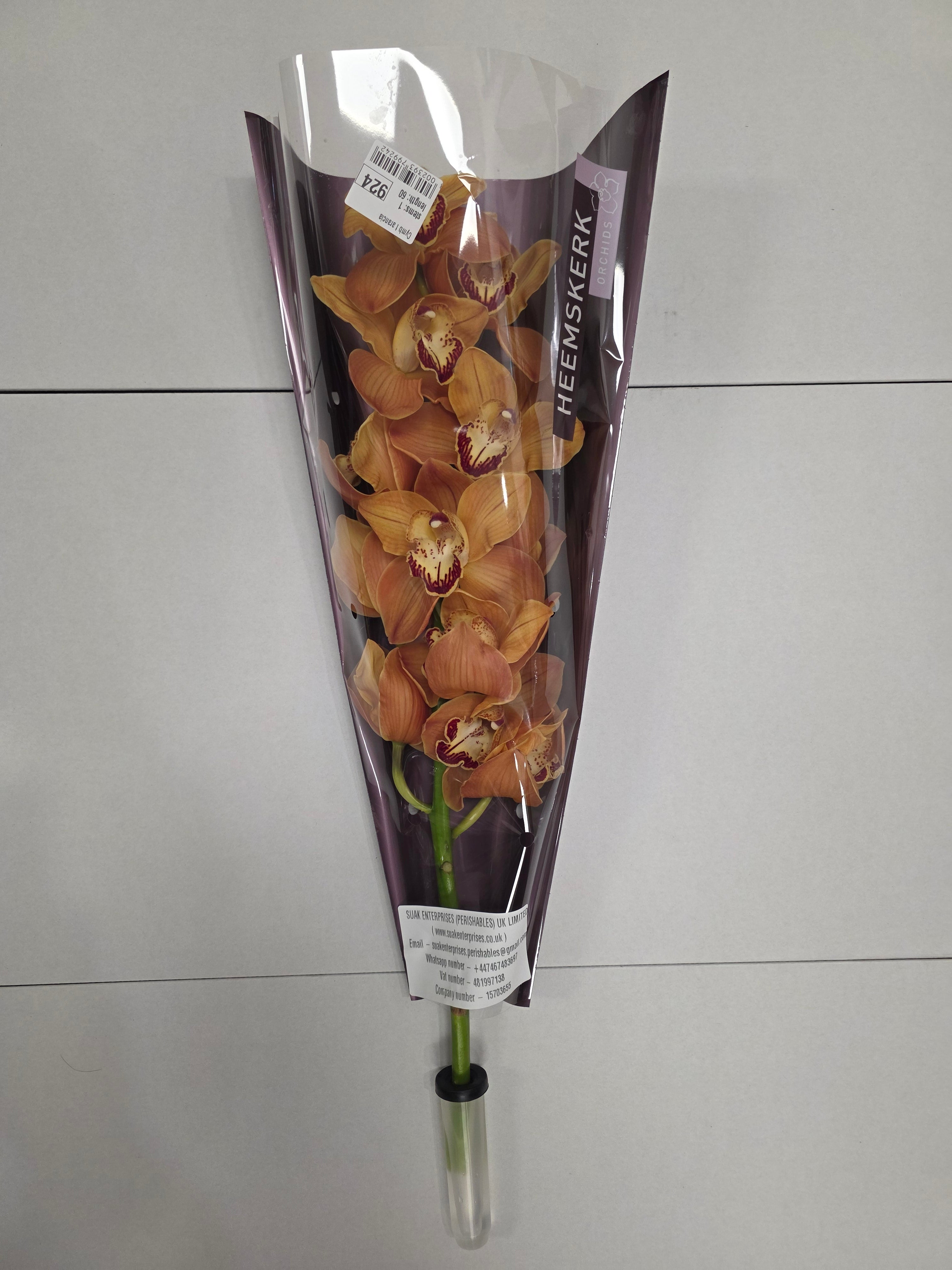 Farm Fresh Orchid/Cymbidium Tak Arancia (Bunch of 1 stems, Length 60cm)
