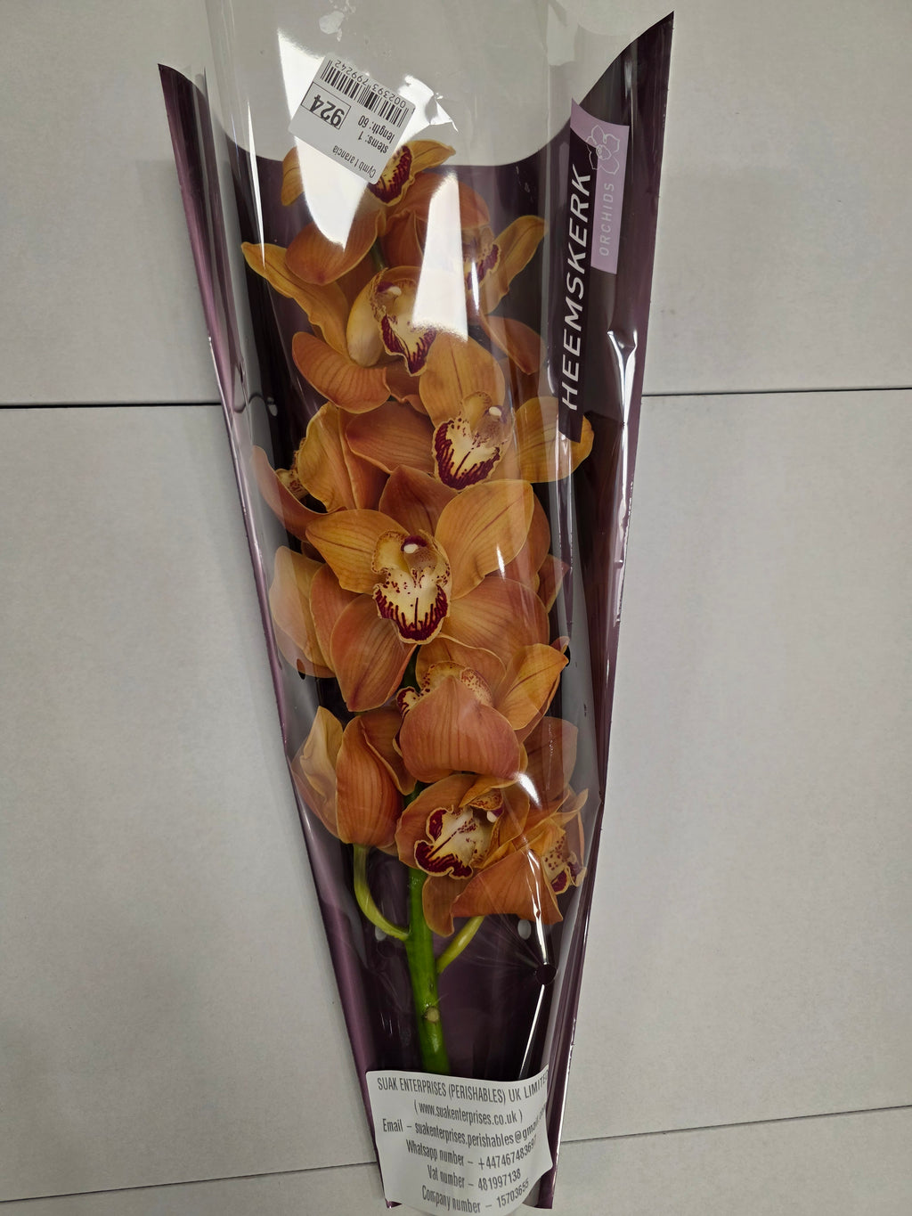 Farm Fresh Orchid/Cymbidium Tak Arancia (Bunch of 1 stems, Length 60cm)