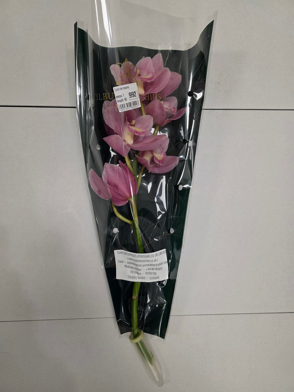 Farm Fresh Orchid/Cymbidium Tak Rosanna (Bunch of 1 stems, Length 60cm)