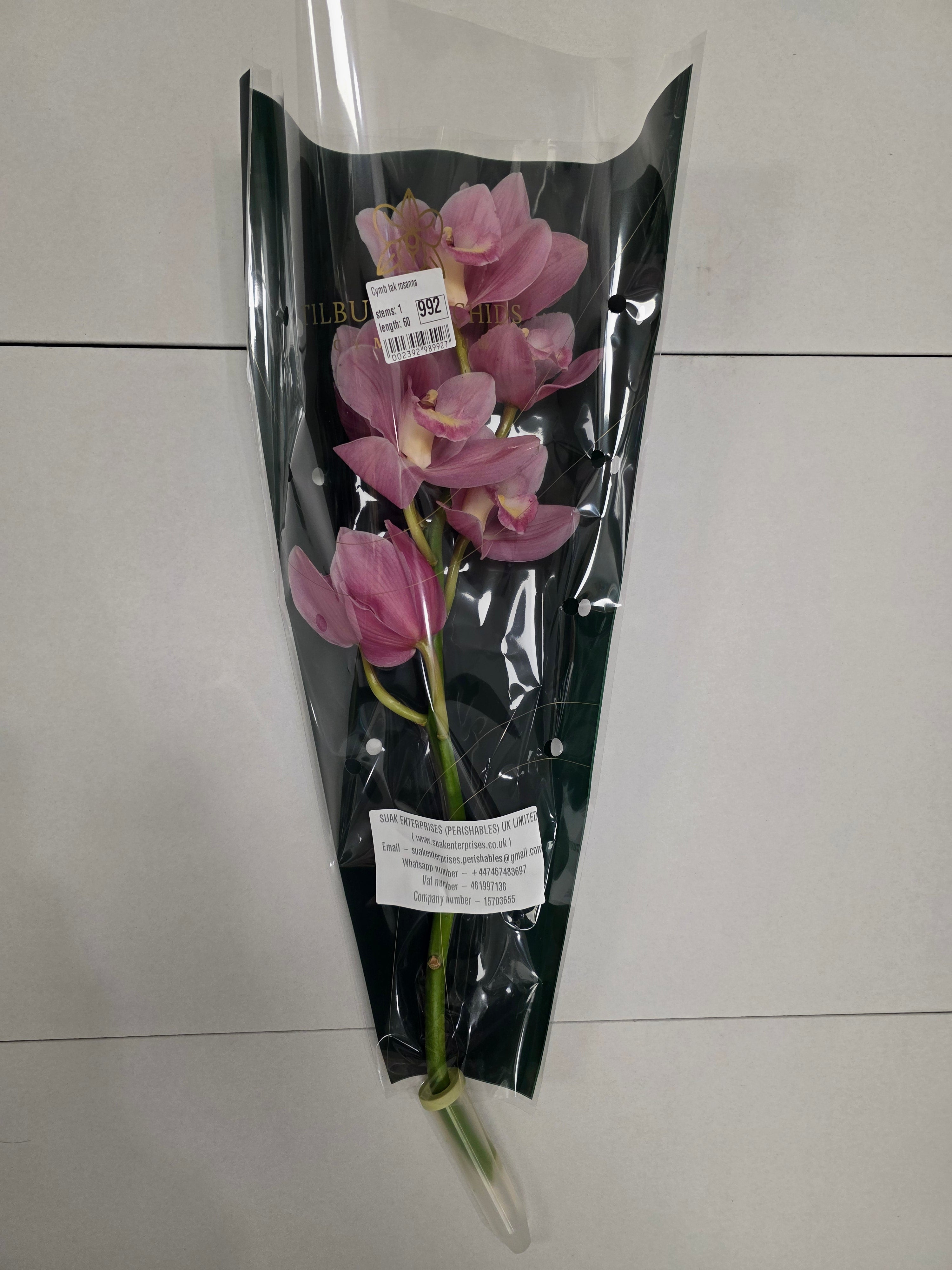 Farm Fresh Orchid/Cymbidium Tak Rosanna (Bunch of 1 stems, Length 60cm)