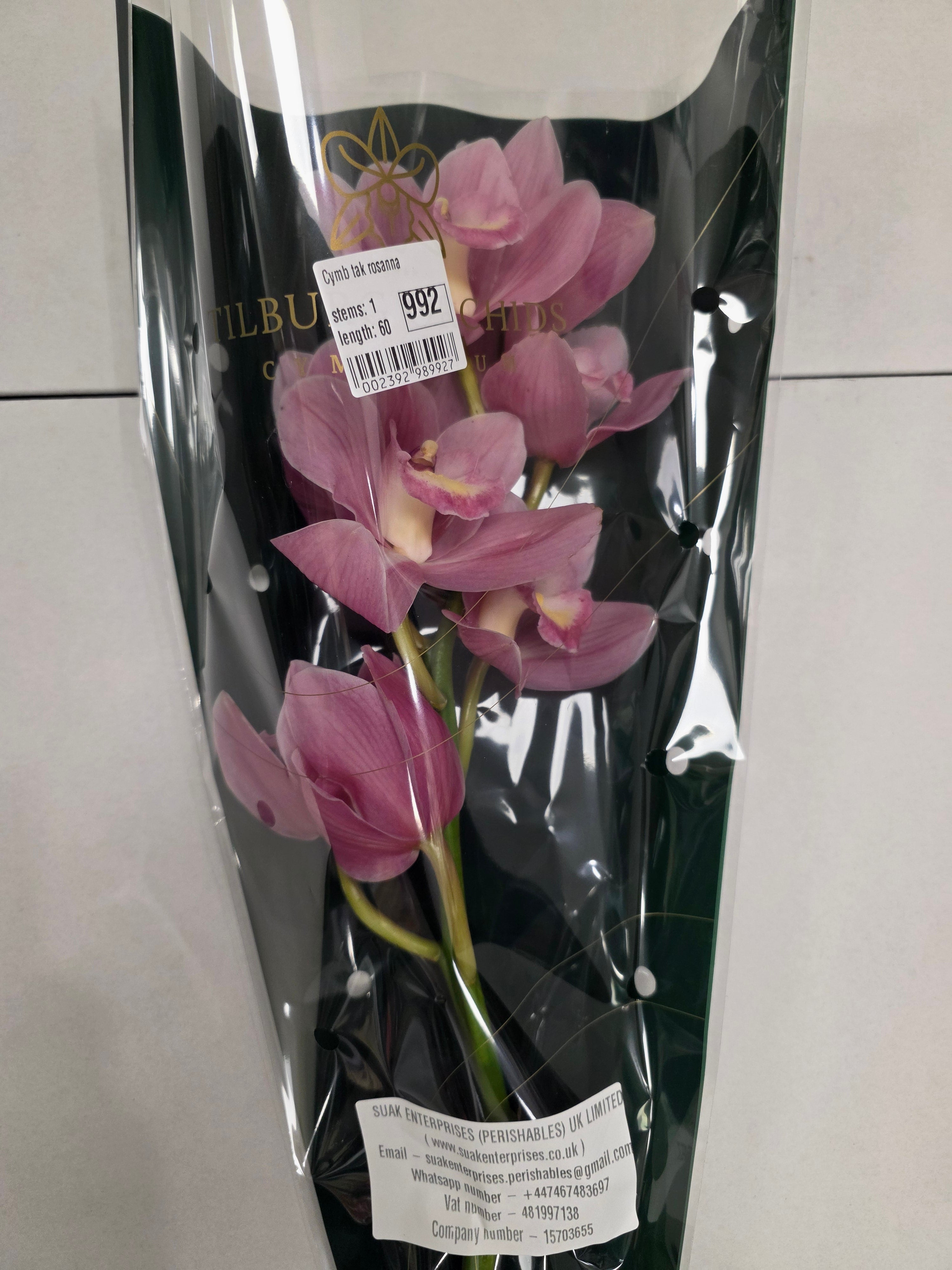 Farm Fresh Orchid/Cymbidium Tak Rosanna (Bunch of 1 stems, Length 60cm)