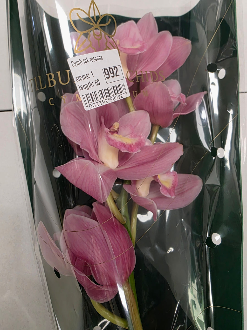Farm Fresh Orchid/Cymbidium Tak Rosanna (Bunch of 1 stems, Length 60cm)