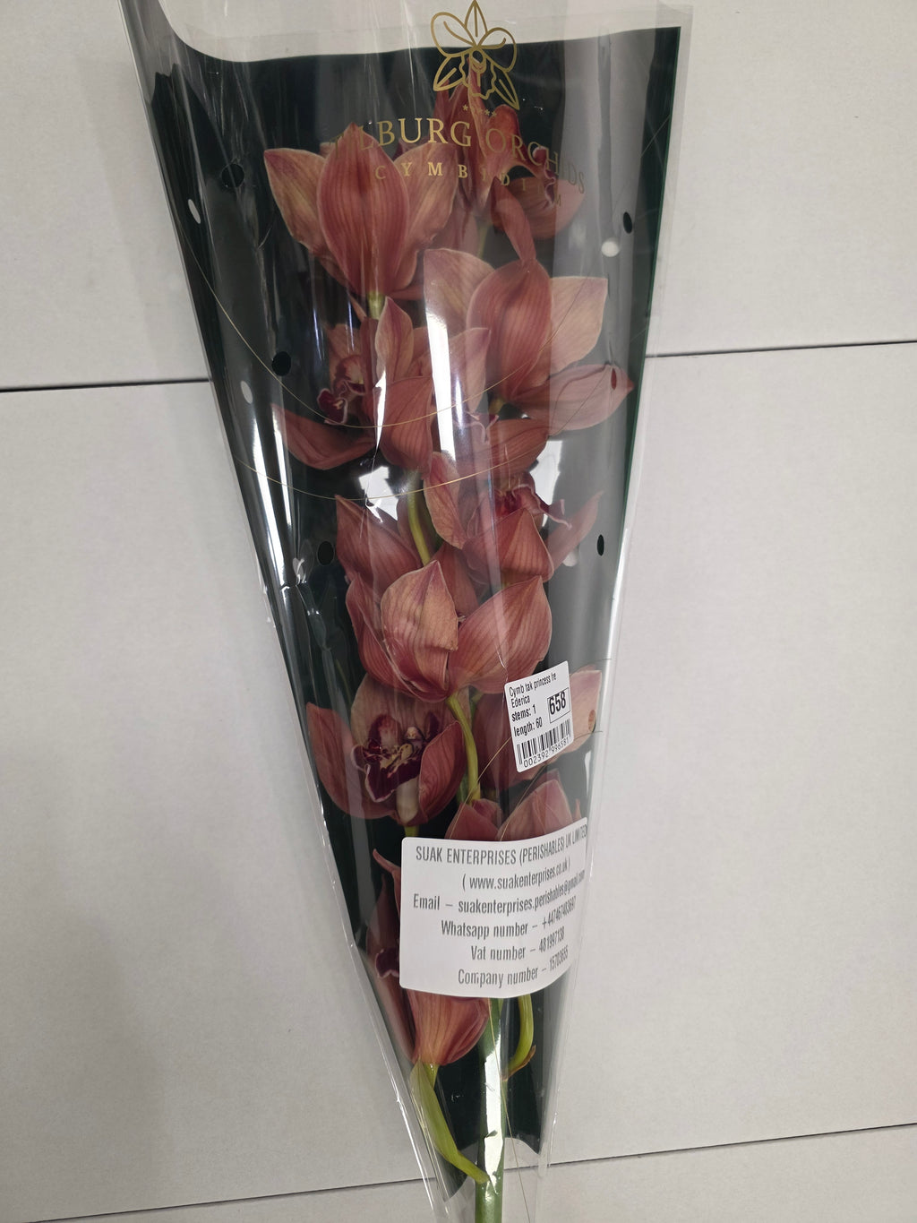 Farm Fresh Orchid/Cymbidium Tak Princess Frederica (Bunch of 1 stems, Length 60cm)
