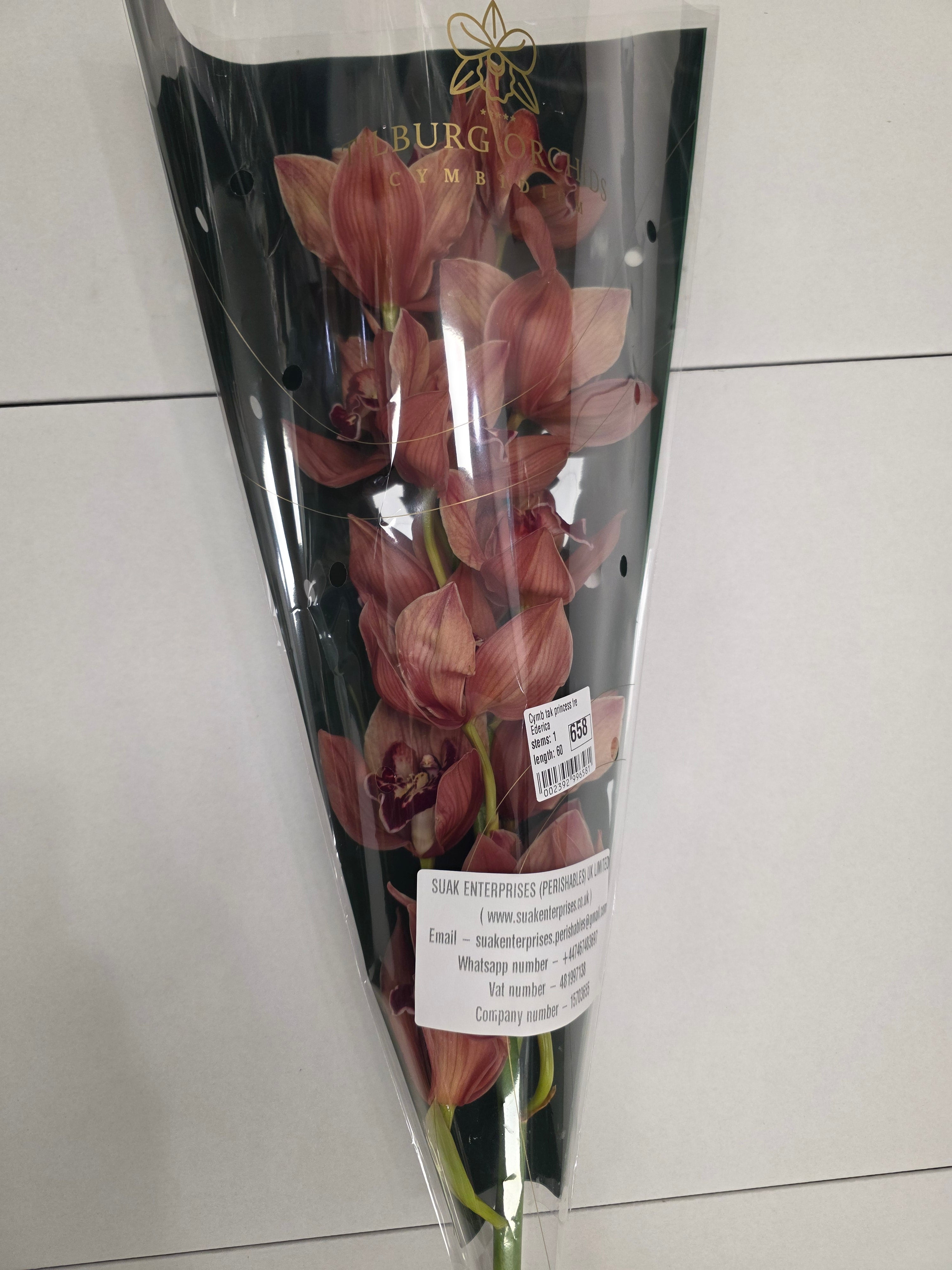 Farm Fresh Orchid/Cymbidium Tak Princess Frederica (Bunch of 1 stems, Length 60cm)