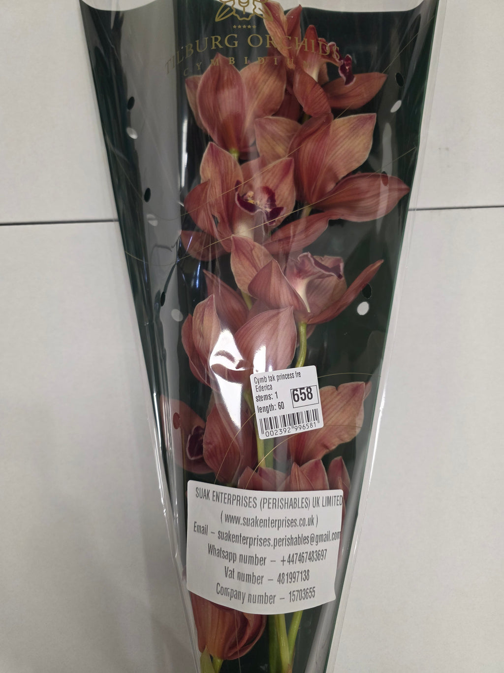 Farm Fresh Orchid/Cymbidium Tak Princess Frederica (Bunch of 1 stems, Length 60cm)