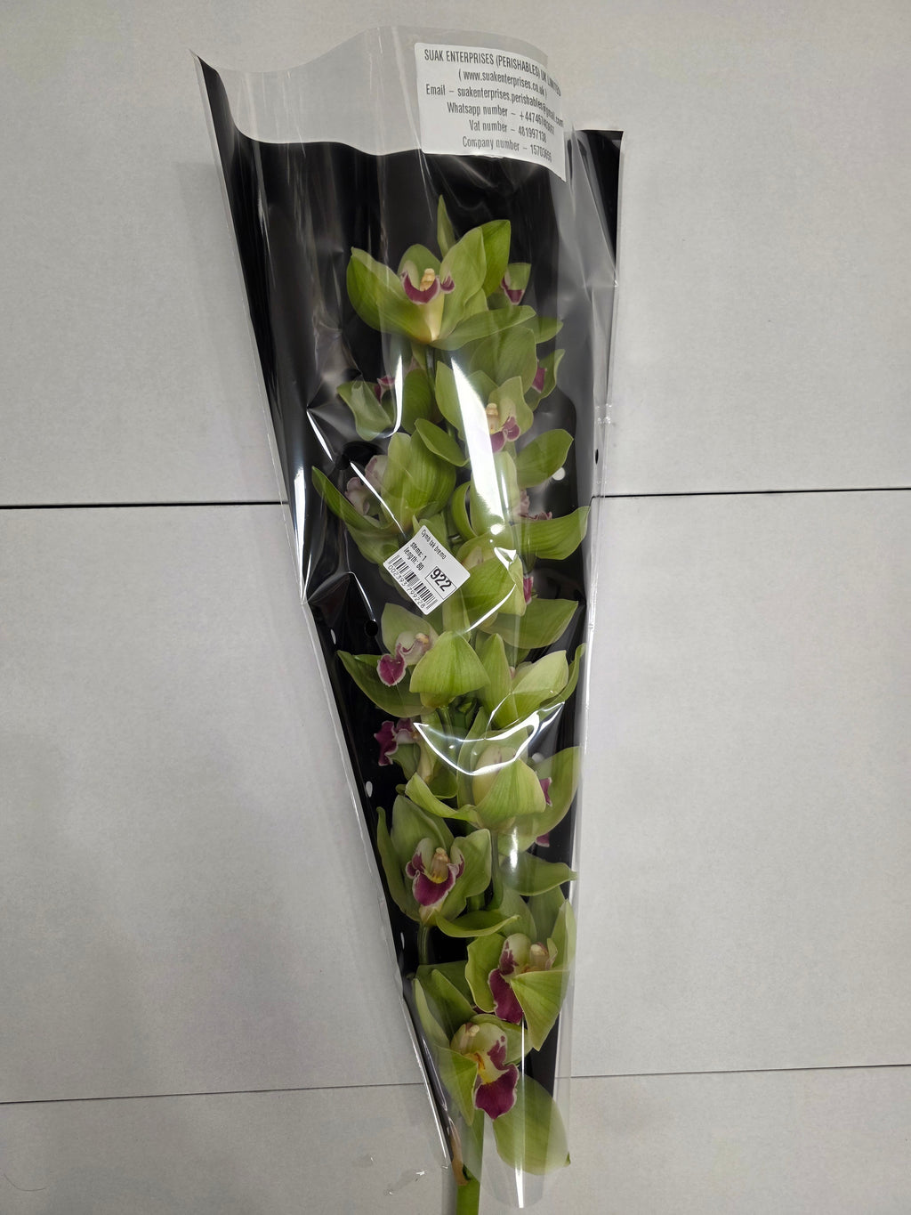 Farm Fresh Orchid/Cymbidium Tak Bremo (Bunch of 1 stems, Length 80cm)