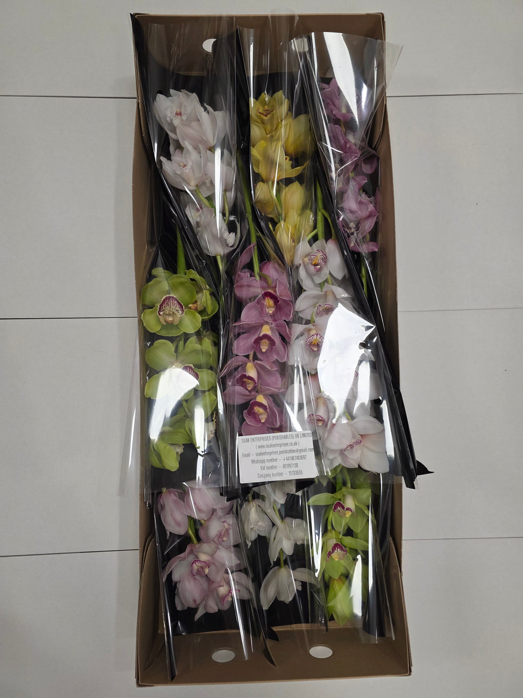 Farm Fresh Orchid/Cymbidium Tak Mix By Box (Box of 9 stems, Length 60cm)