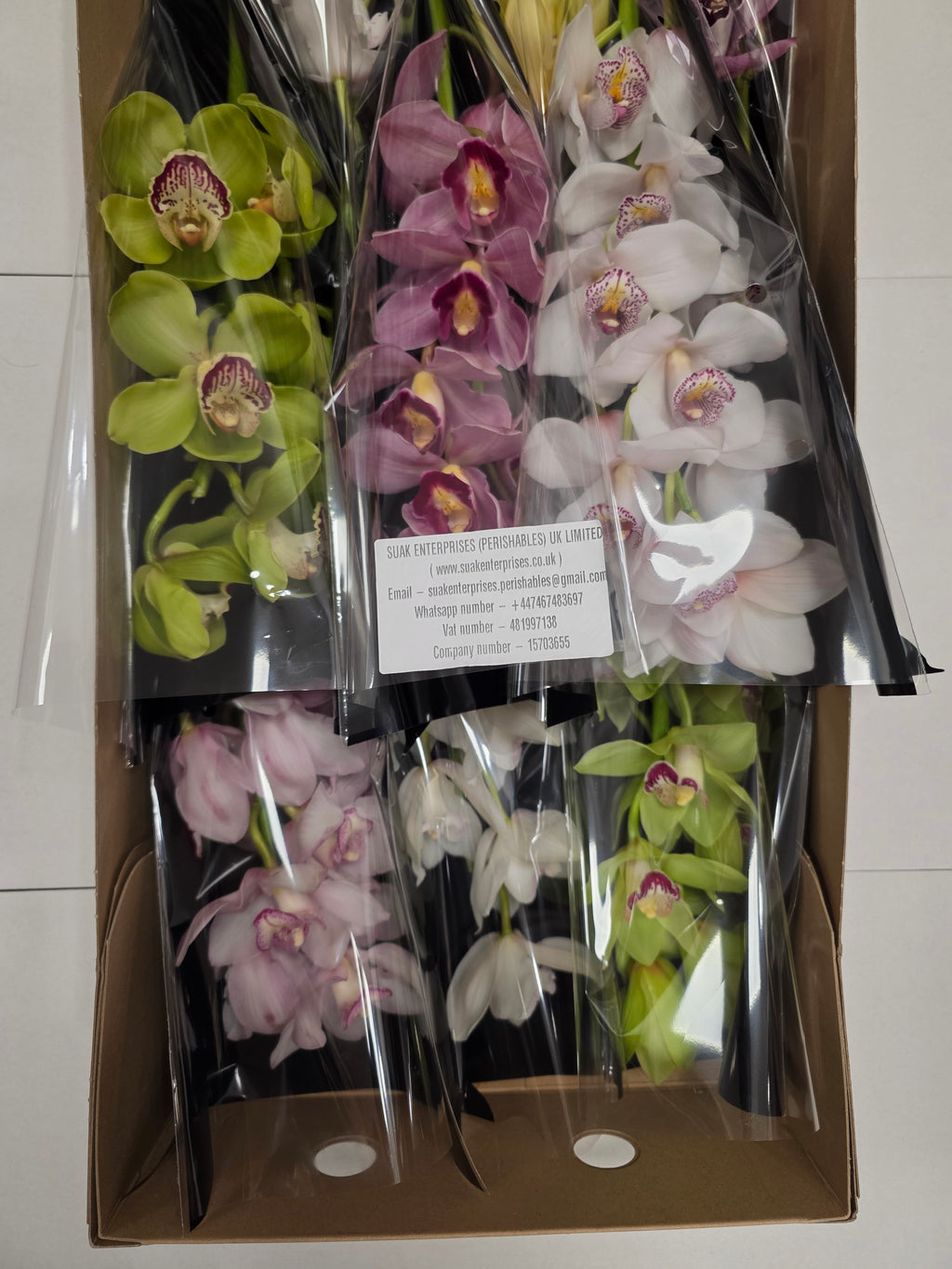 Farm Fresh Orchid/Cymbidium Tak Mix By Box (Box of 9 stems, Length 60cm)