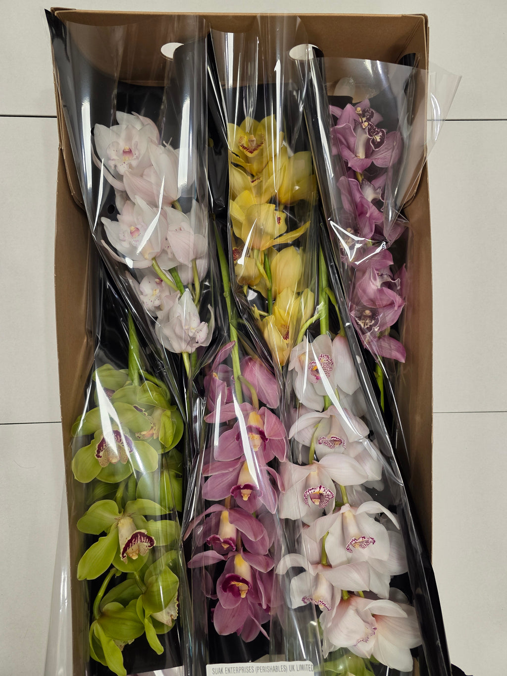 Farm Fresh Orchid/Cymbidium Tak Mix By Box (Box of 9 stems, Length 60cm)