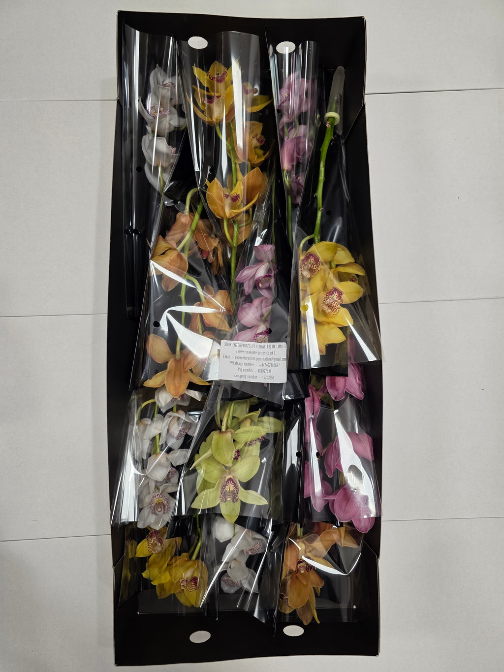 Farm Fresh Orchid/Cymbidium Tak Mix By Box (Box of 12 stems, Length 50cm)