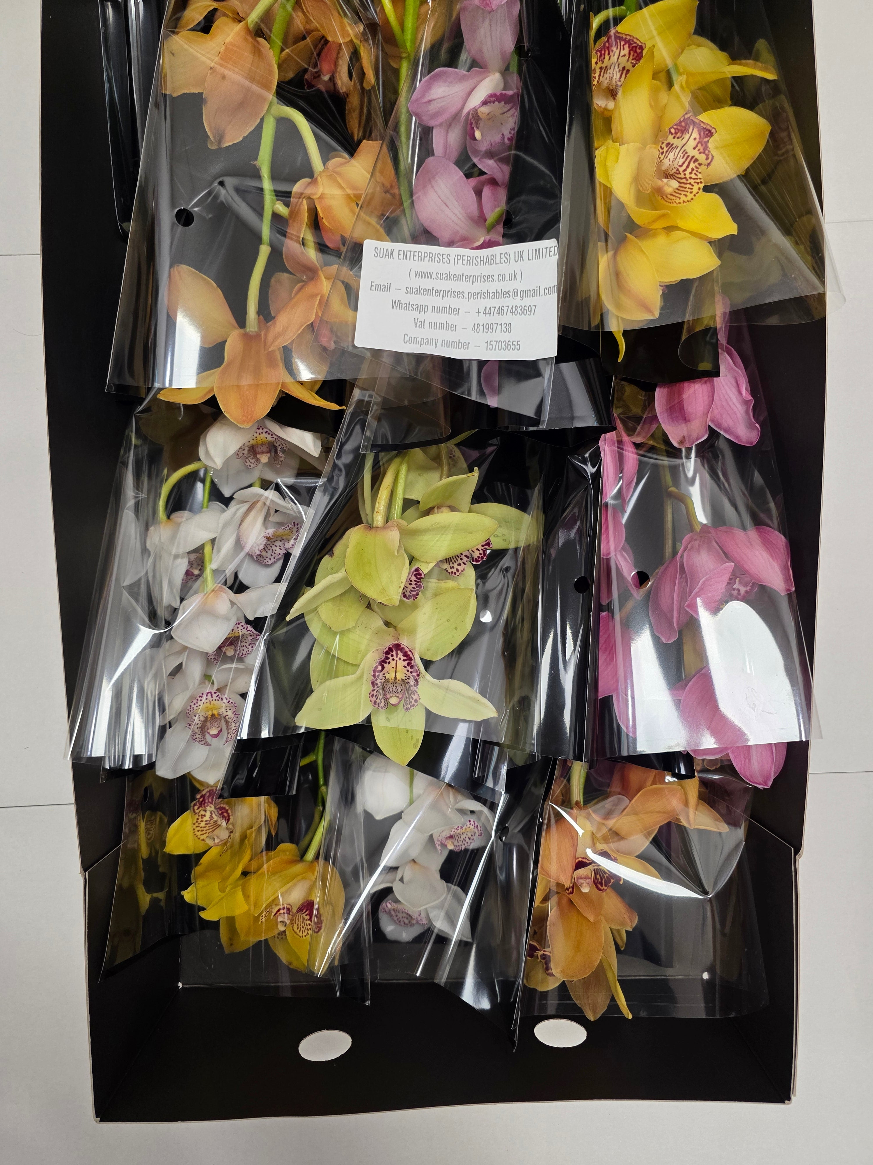 Farm Fresh Orchid/Cymbidium Tak Mix By Box (Box of 12 stems, Length 50cm)