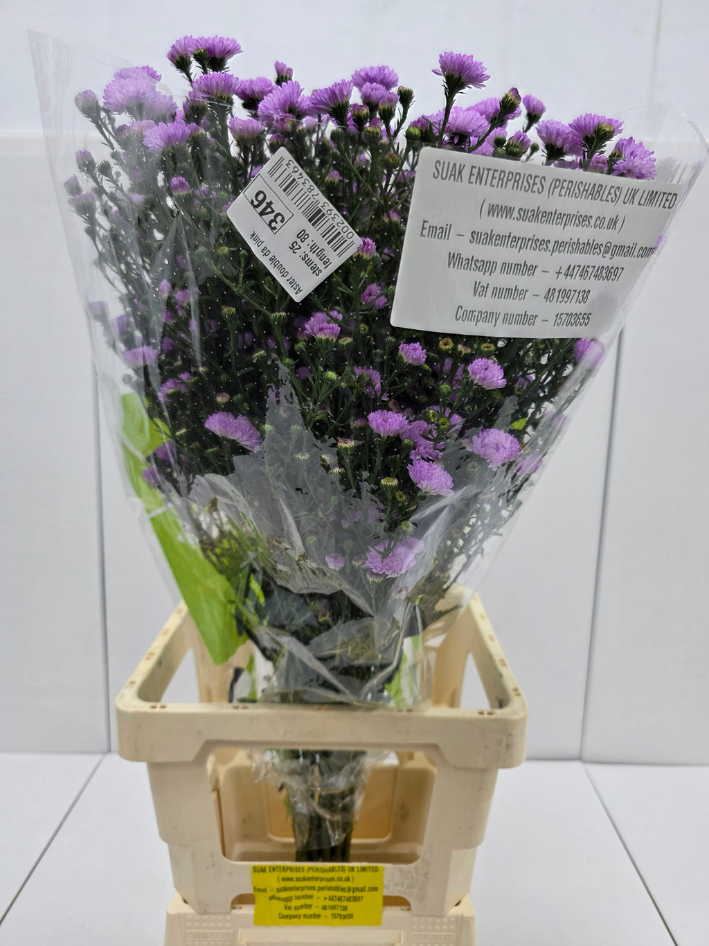 Farm Fresh Aster Double Da Pink (Bunch of 25 stems , length 70cm)