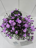 Farm Fresh Aster Double Da Pink (Bunch of 25 stems , length 70cm)