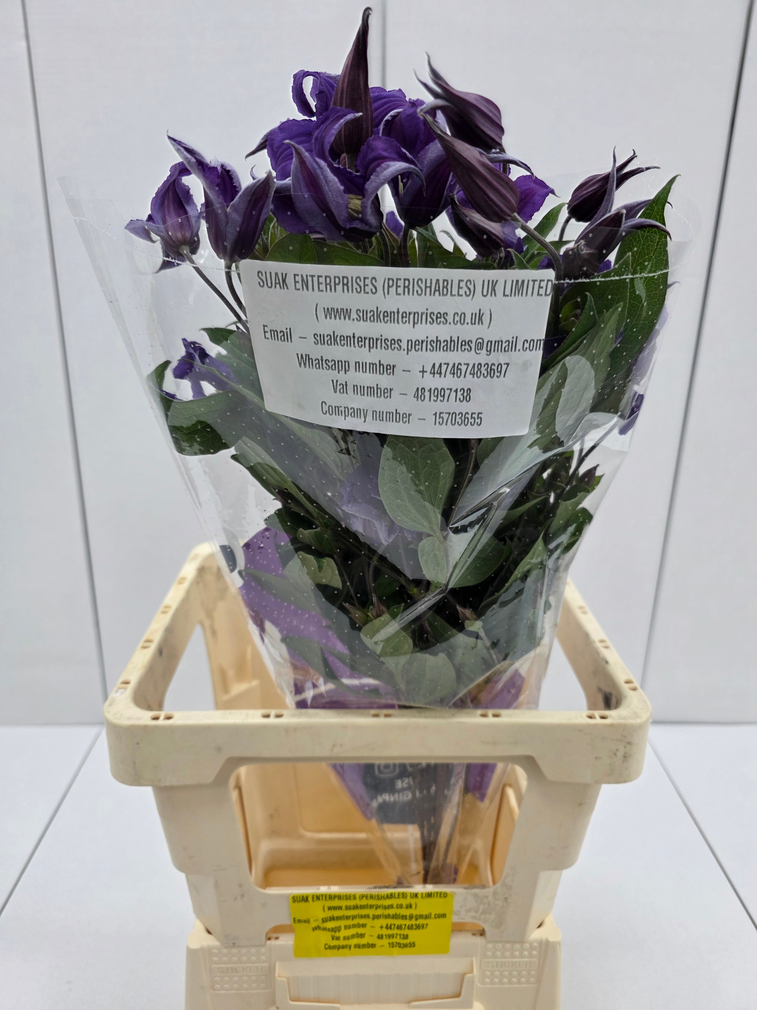 Farm Fresh Clematis Blue Piroutte(Bunch of 10 stems, Length 70cm)