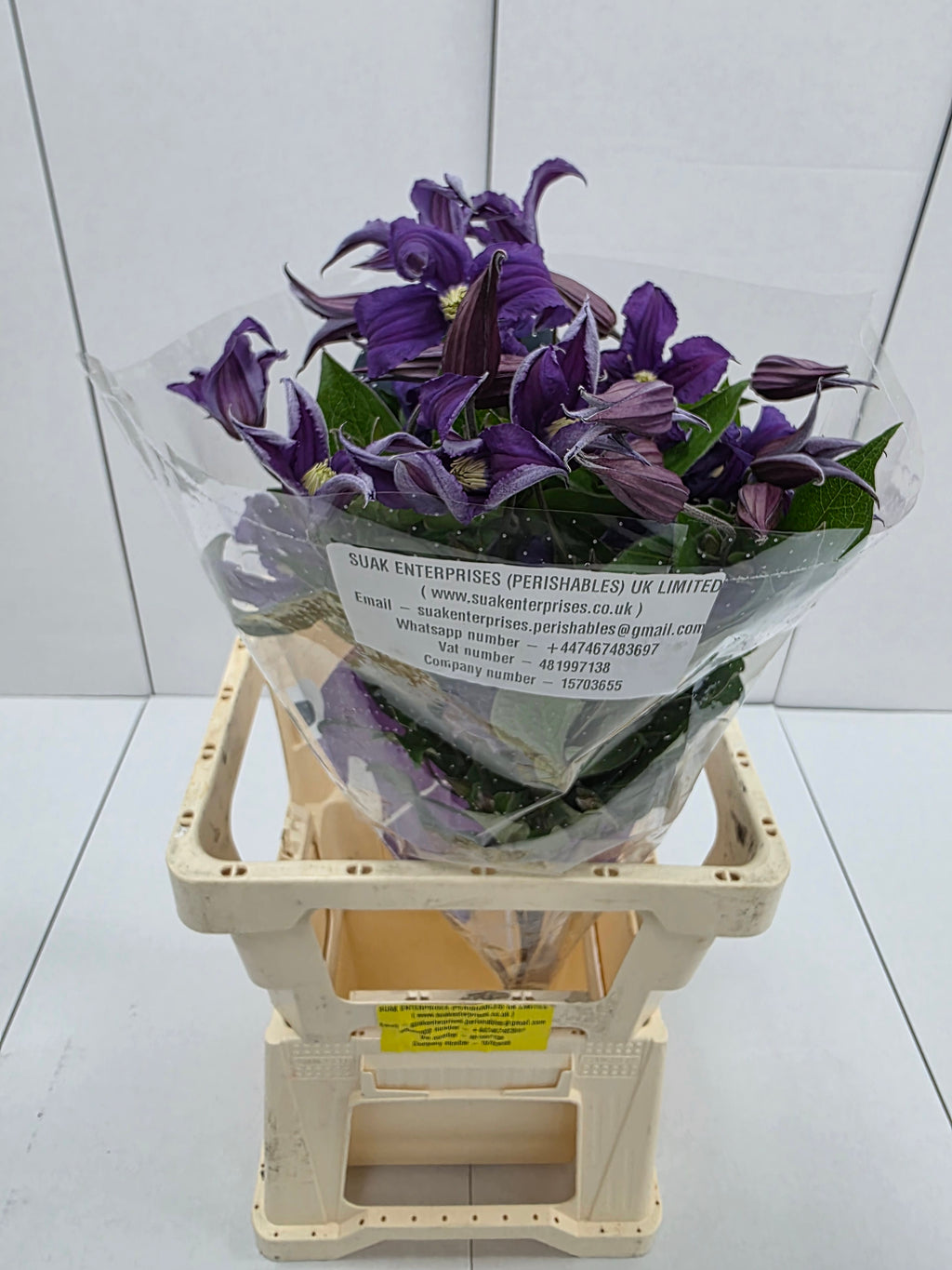 Farm Fresh Clematis Blue Piroutte(Bunch of 10 stems, Length 70cm)