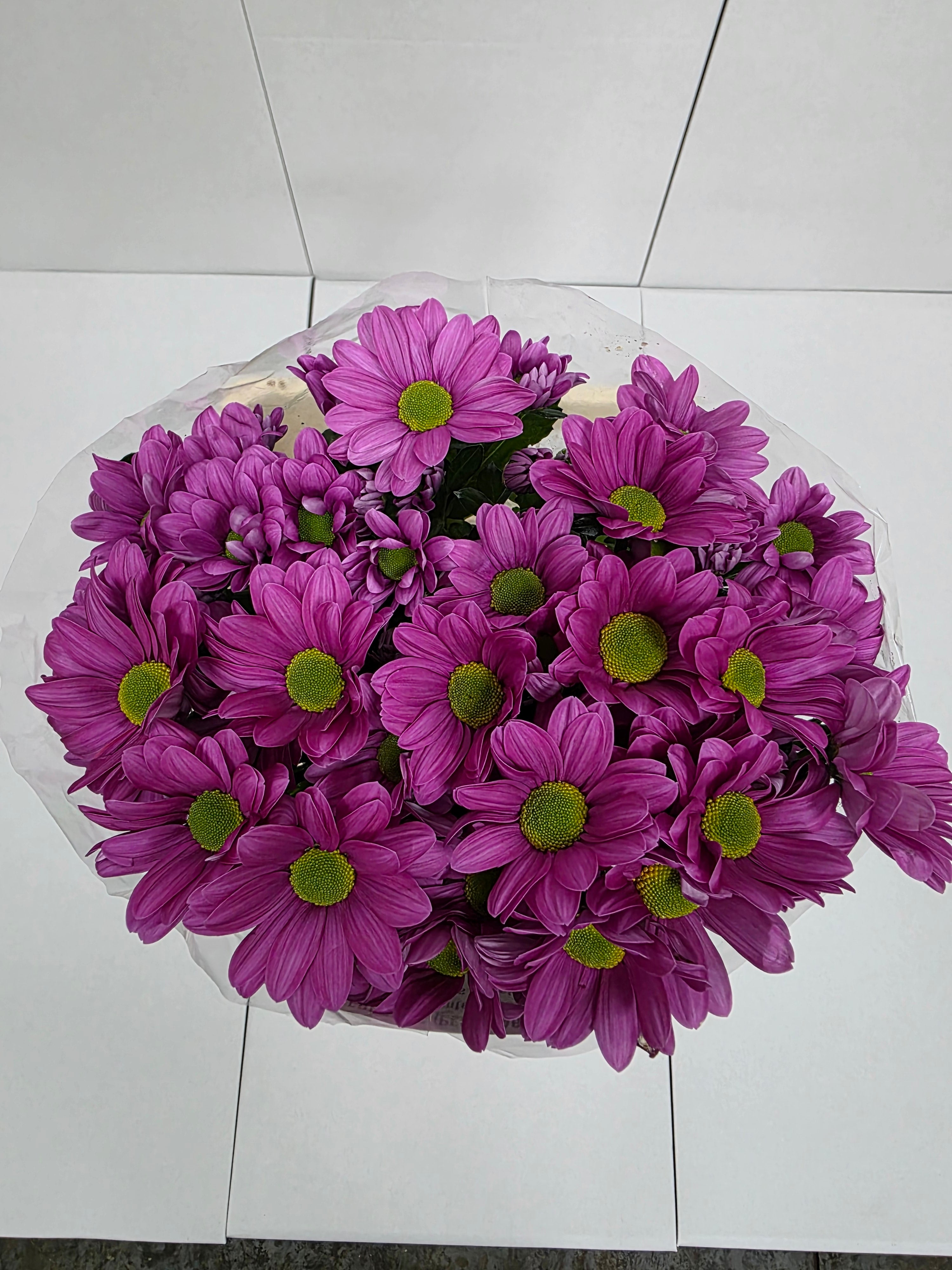 Farm Fresh Spray Chrysanthemum T Ballerina Pink (Bunch of 5 stems, Length 70cm) (PACK OF 2)