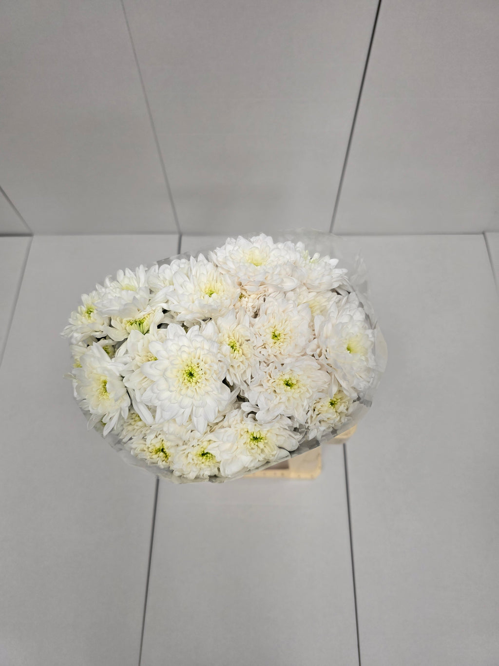 Farm Fresh Spray Chrysanthemum T Baltica (Bunch of 5 stems, Length 70cm) (PACK OF 2)