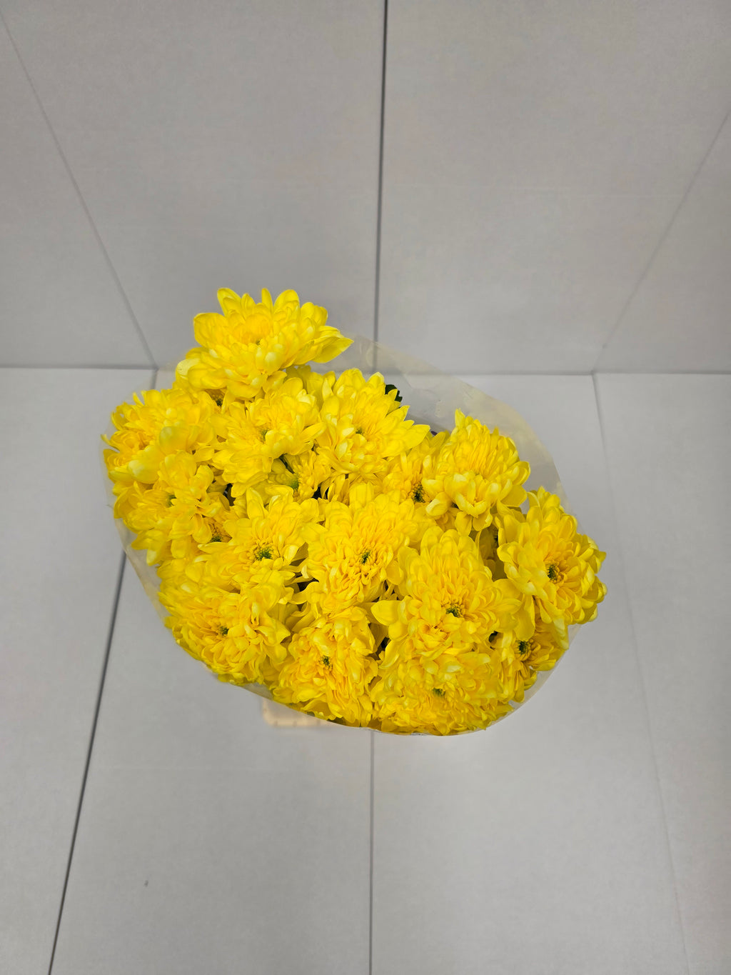 Farm Fresh Spray Chrysanthemum T Baltica Yellow (Bunch of 5 stems, Length 70cm) (PACK OF 2)