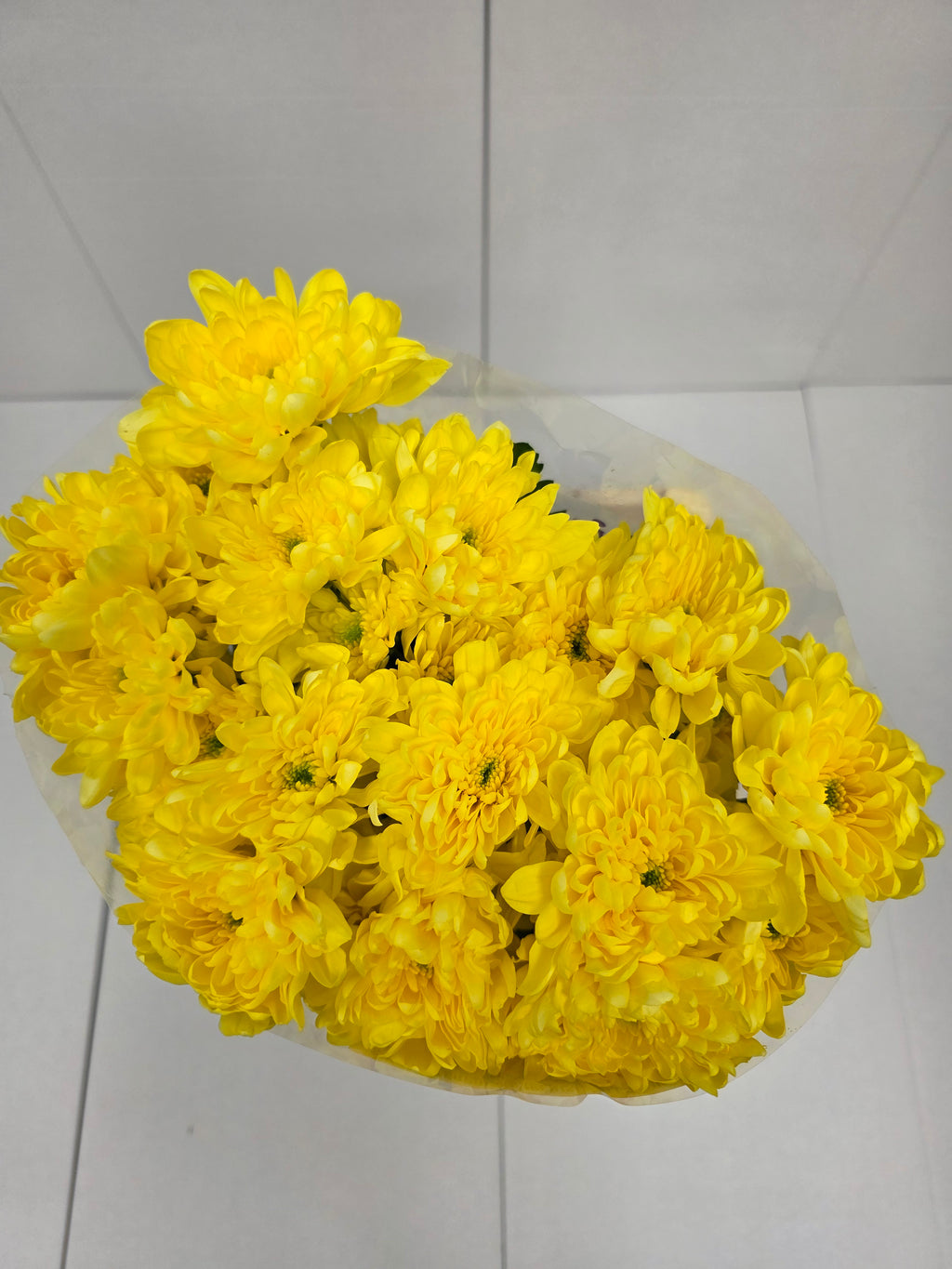 Farm Fresh Spray Chrysanthemum T Baltica Yellow (Bunch of 5 stems, Length 70cm) (PACK OF 2)