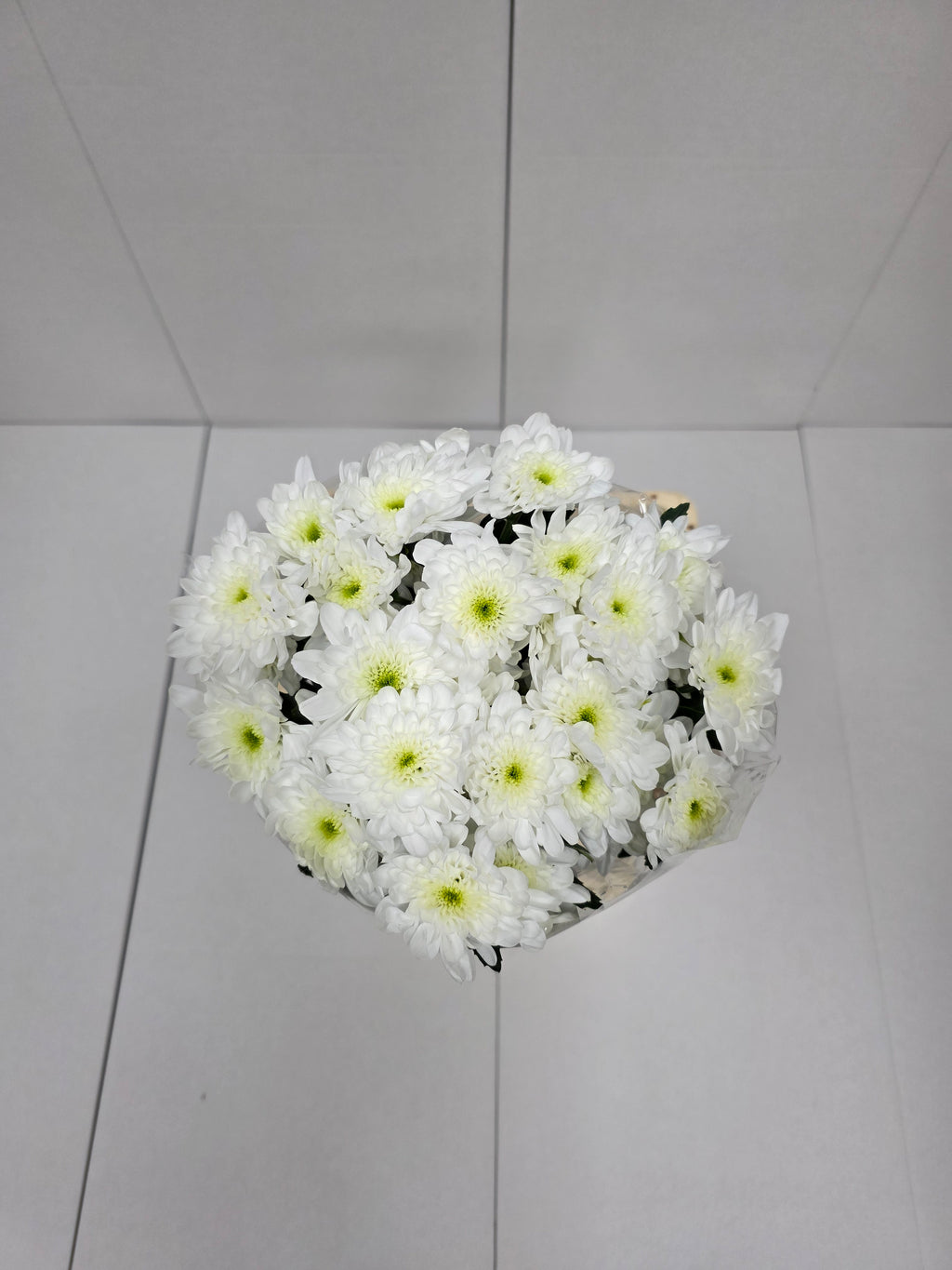 Farm Fresh Spray Chrysanthemum T Bonita (Bunch of 5 stems, Length 70cm) (PACK OF 2)