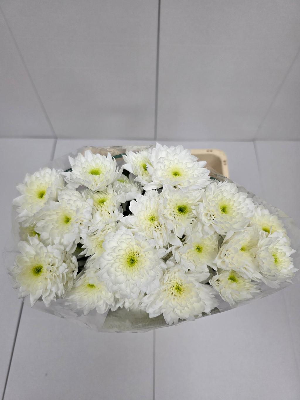 Farm Fresh Spray Chrysanthemum T Euro (Bunch of 5 stems, Length 70cm) (PACK OF 2)