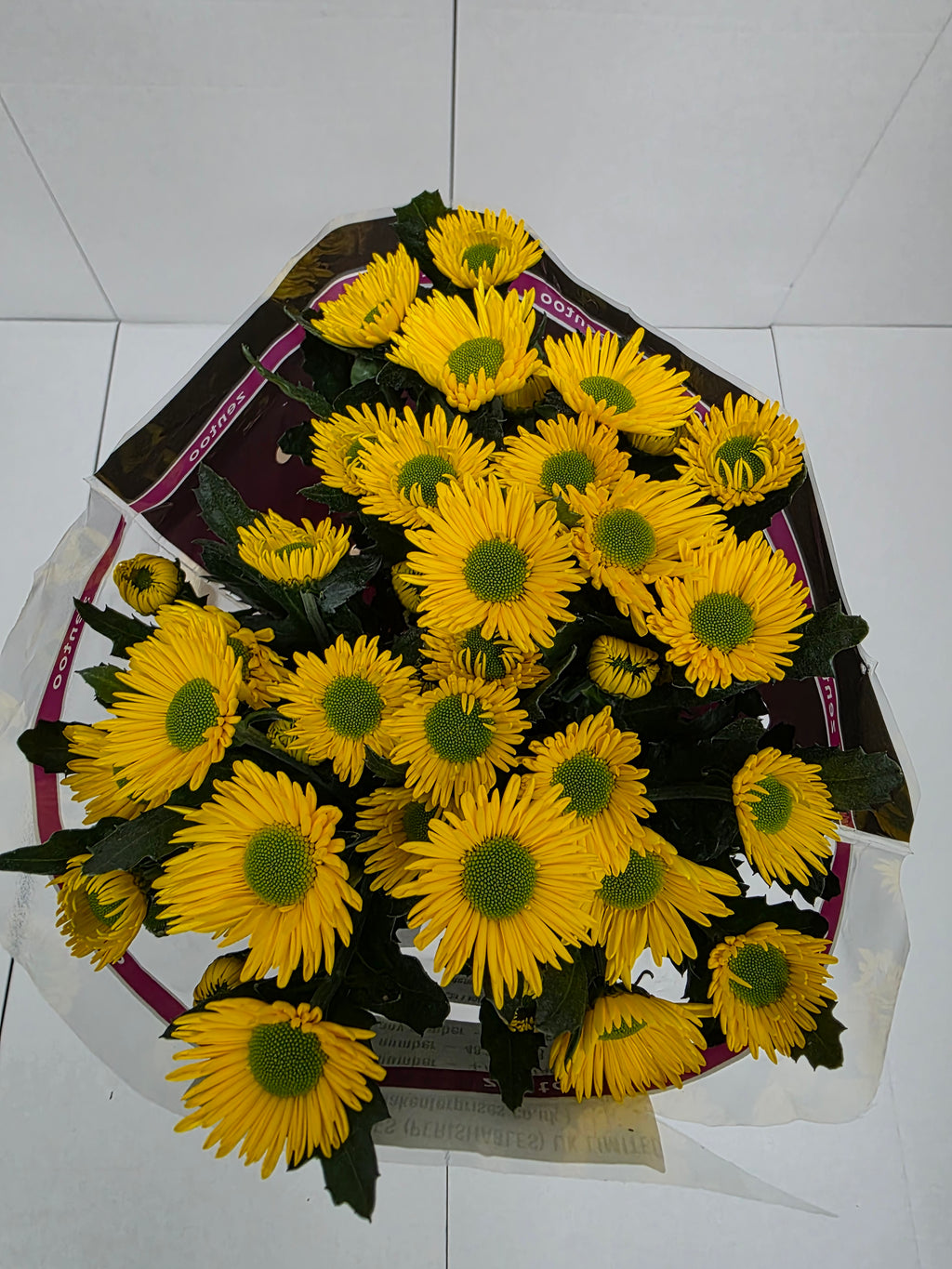 Farm Fresh Spray Chrysanthemum T Korona (Bunch of 5 stems, Length 70cm) (PACK OF 2)