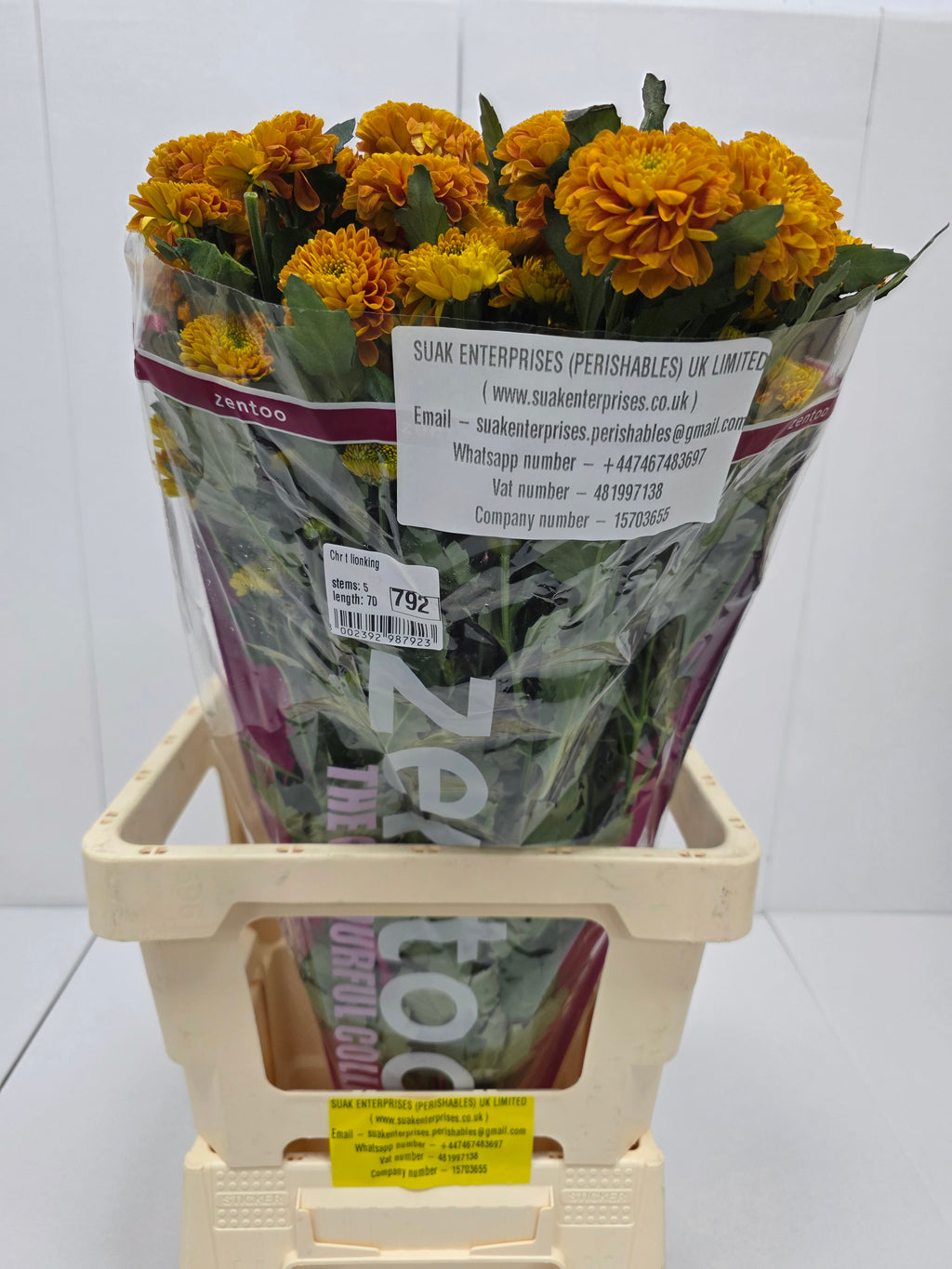 Farm Fresh Spray Chrysanthemum T Lionking (Bunch of 5 stems, Length 70cm) (PACK OF 2)