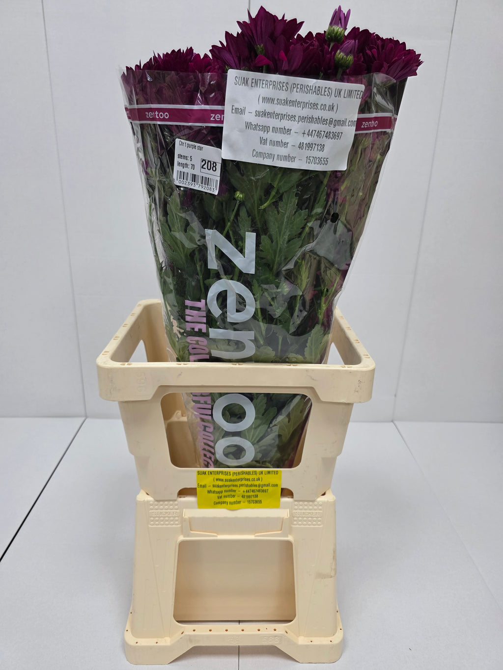 Farm Fresh Spray Chrysanthemum T Purple Star (Bunch of 5 stems, Length 70cm) (PACK OF 2)