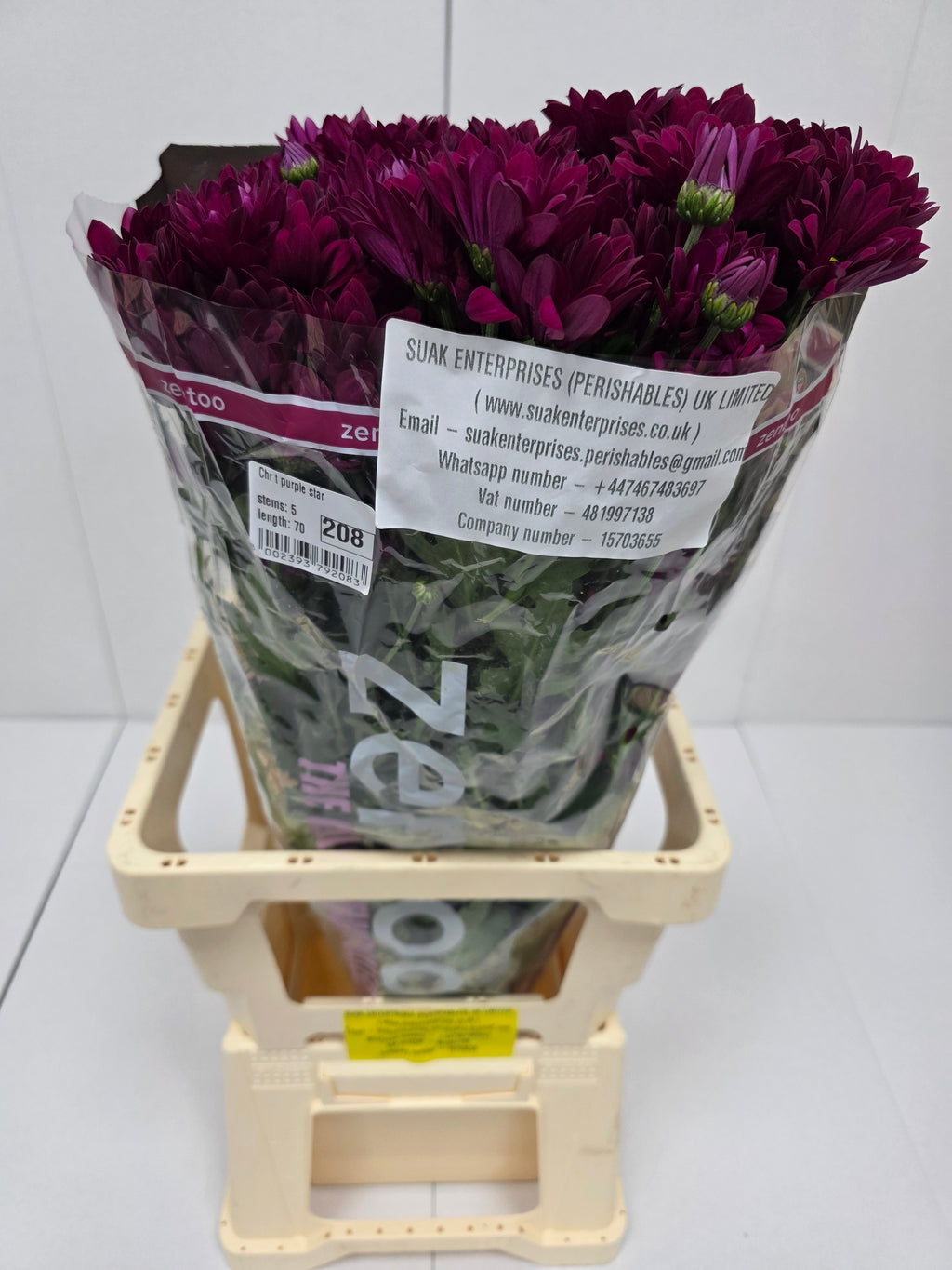 Farm Fresh Spray Chrysanthemum T Purple Star (Bunch of 5 stems, Length 70cm) (PACK OF 2)