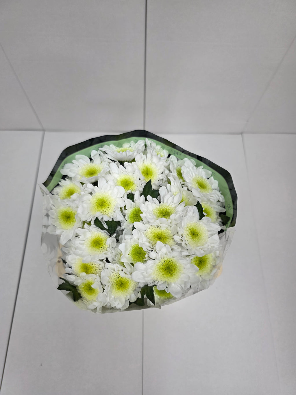 Farm Fresh Spray Chrysanthemum T Radost (Bunch of 5 stems, Length 70cm) (PACK OF 2)