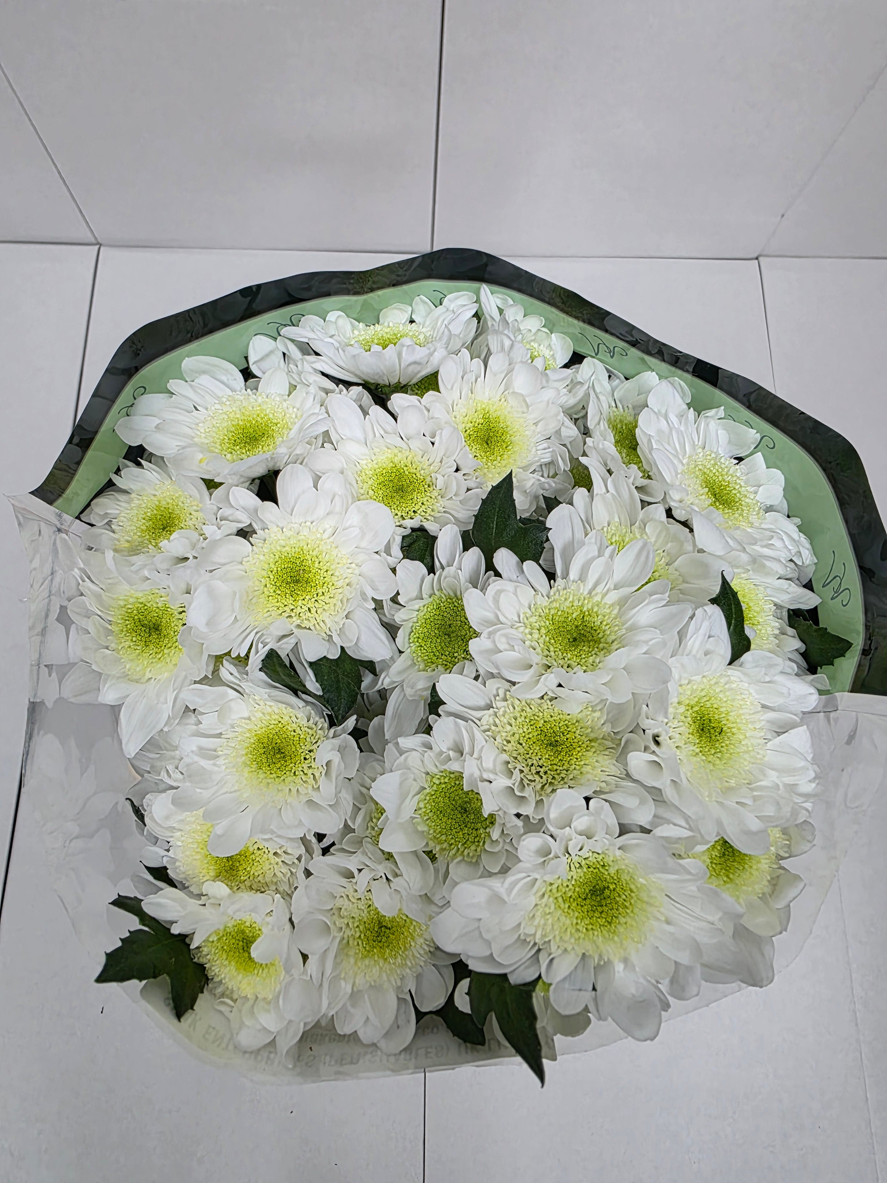 Farm Fresh Spray Chrysanthemum T Radost (Bunch of 5 stems, Length 70cm) (PACK OF 2)