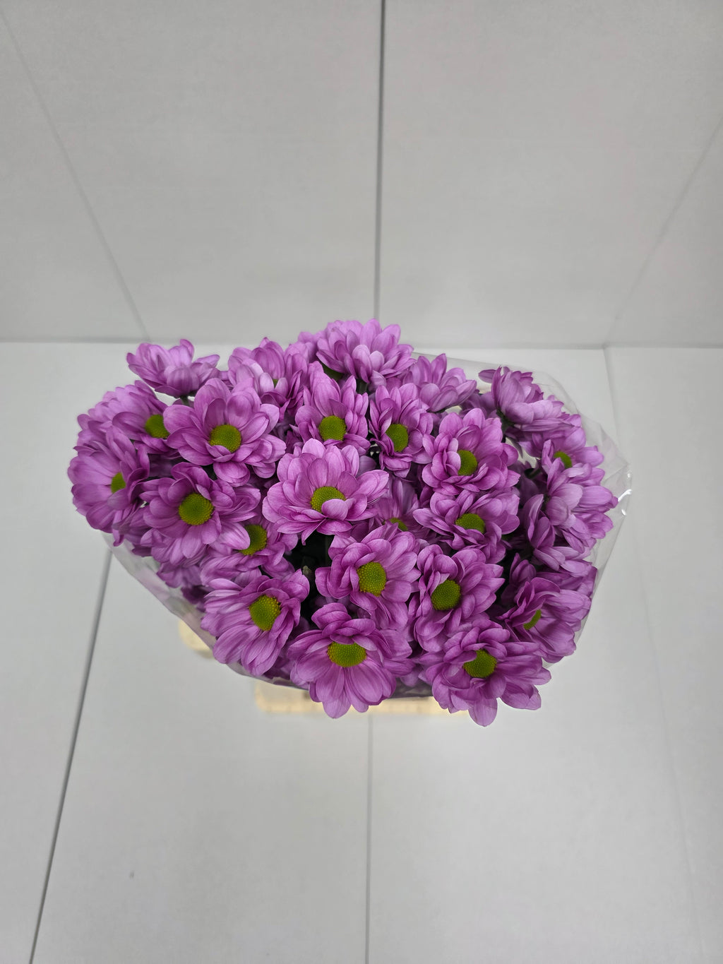 Farm Fresh Spray Chrysanthemum T Resq (Bunch of 5 stems, Length 70cm) (PACK OF 2)