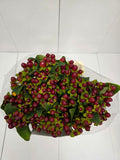 Farm Fresh Hypercium Mag Seasons (Bunch of 25stems, Length 70cm)