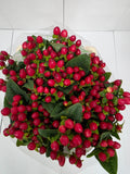 Farm Fresh Hypercium Mag Triumph(Bunch of 25stems, Length 60cm)