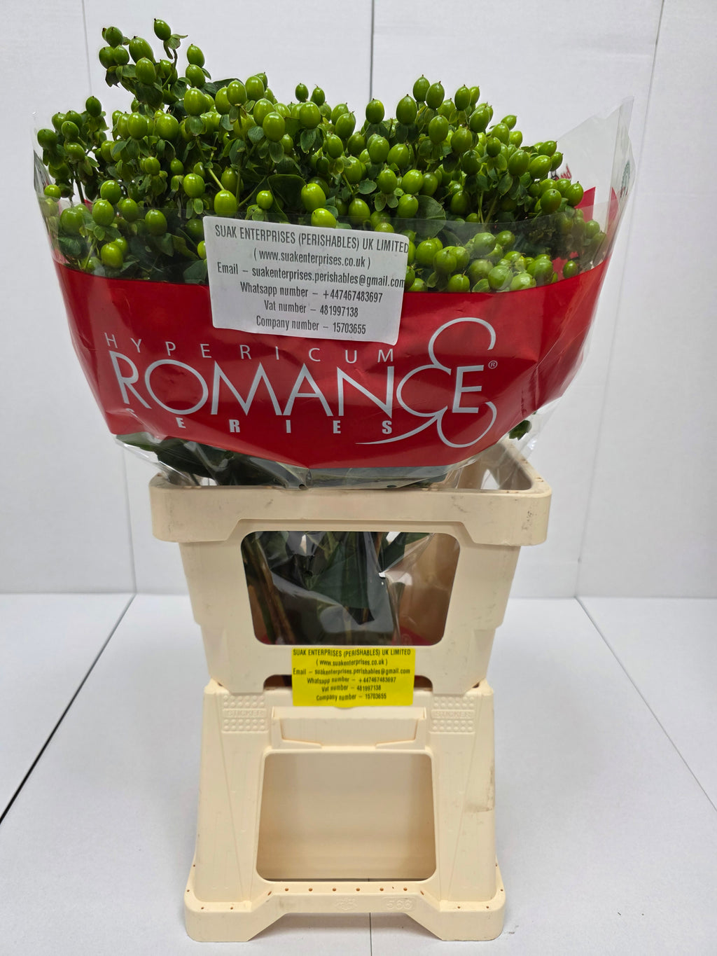 Farm Fresh Hypercium Spray Jungle Romance 70cm(Bunch of 25stems, Length 70cm)