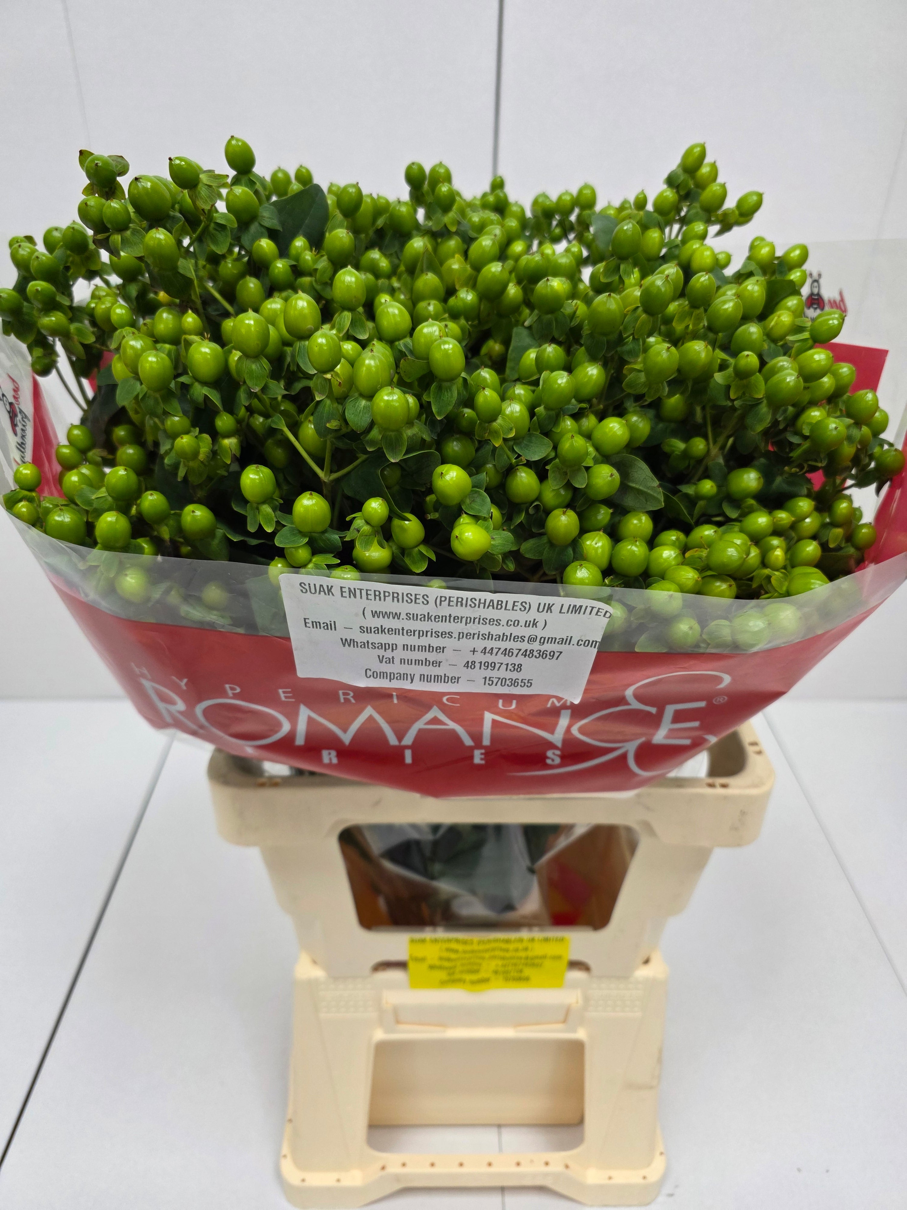 Farm Fresh Hypercium Spray Jungle Romance 70cm(Bunch of 25stems, Length 70cm)