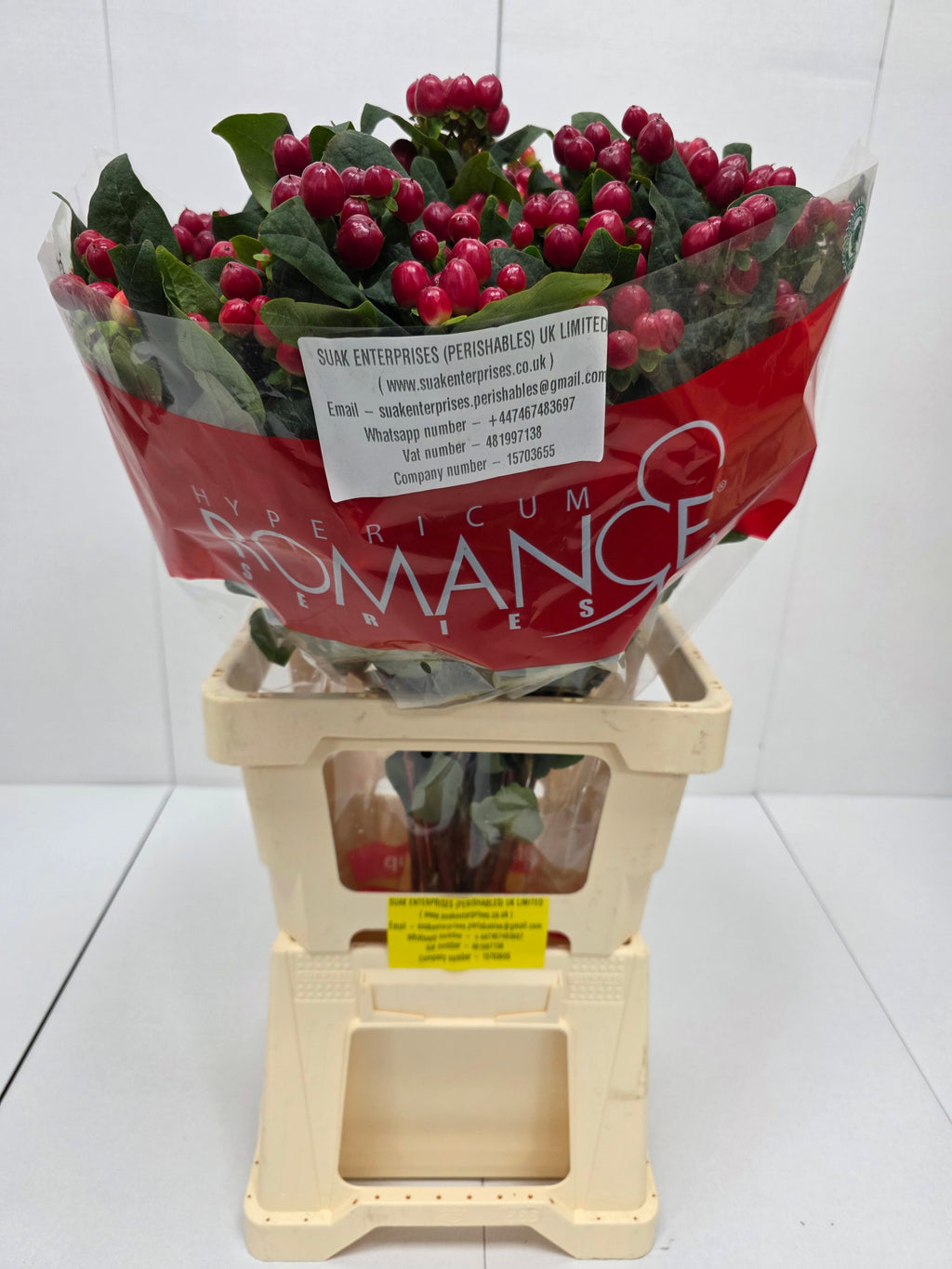 Farm Fresh Hypercium Spray True Romance(Bunch of 25stems, Length 70cm)