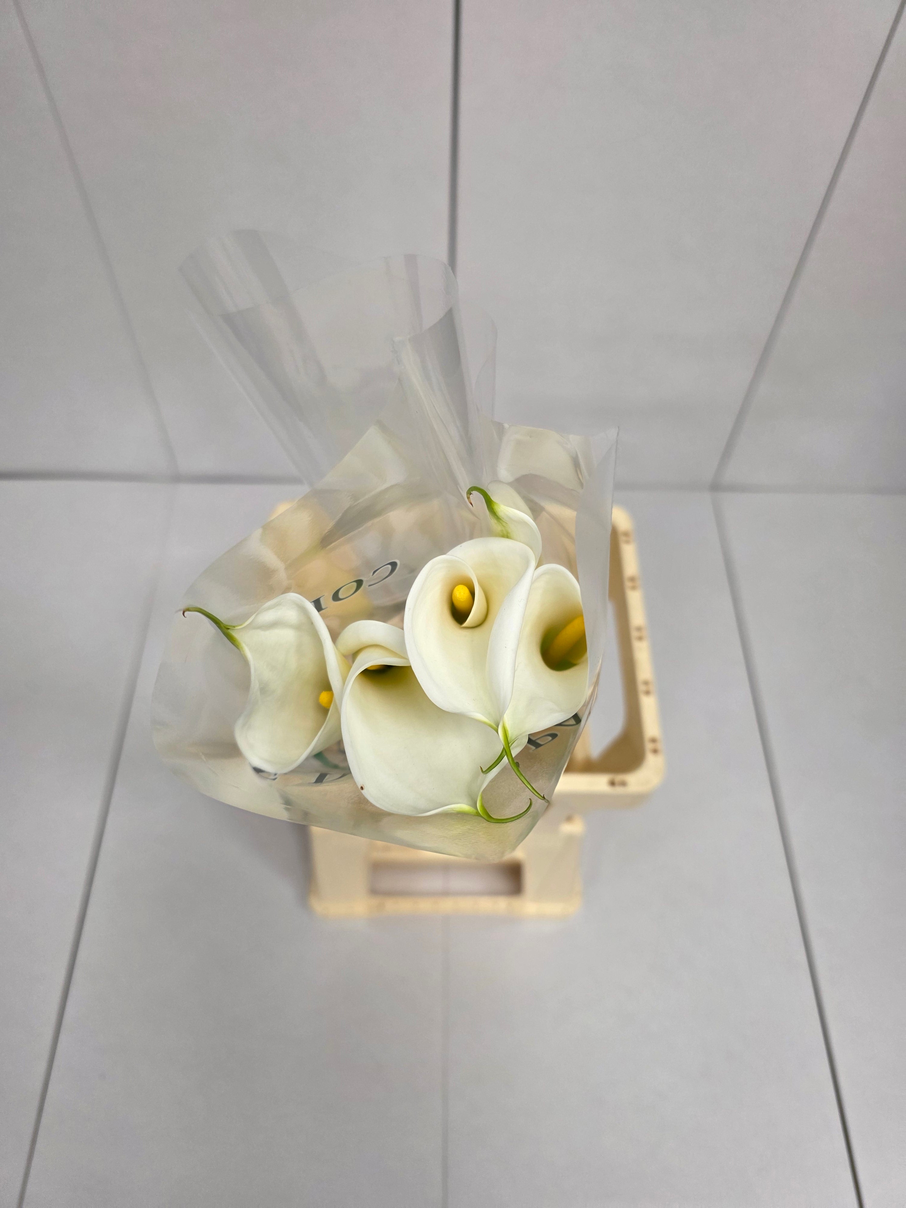 Farm Fresh Calla/Zantedeschia Ae Colombe Paix (Bunch of 10stems, length 100cm)