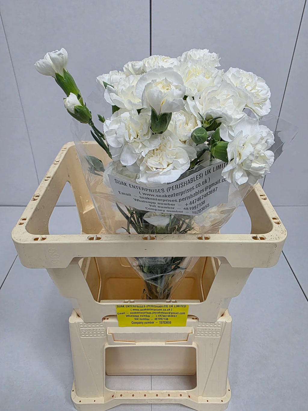 Farm Fresh Spray Carnations White Flueurett (Bunch of 10 stems, Length 70cm)