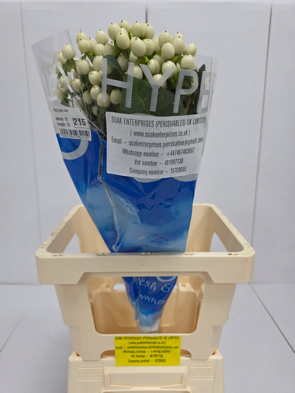 Farm Fresh Hypercium Coco Uno(Bunch of 10stems, Length 70cm)