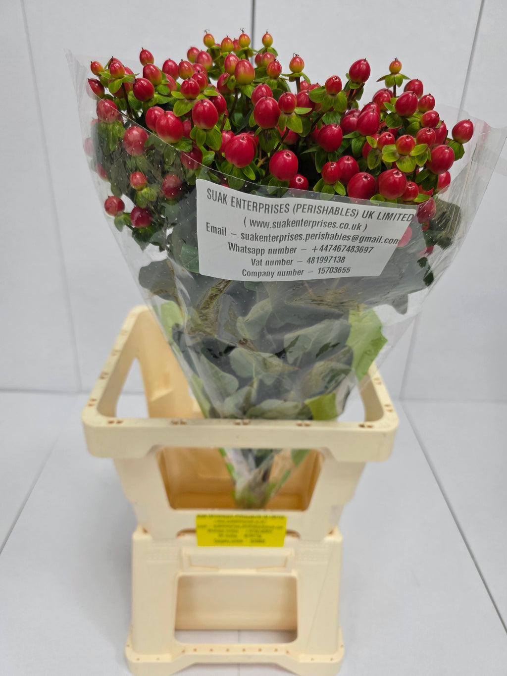 Farm Fresh Hypercium Tomato Flair(Bunch of 25stems, Length 70cm)