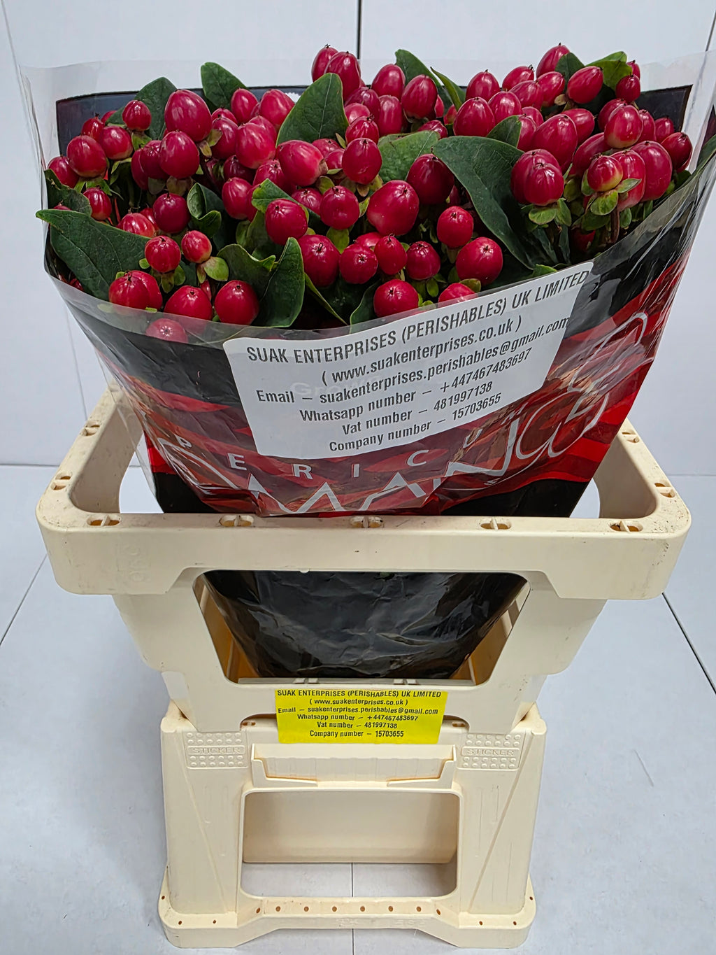 Farm Fresh Hypercium True Romance(Bunch of 25stems, Length 60cm)