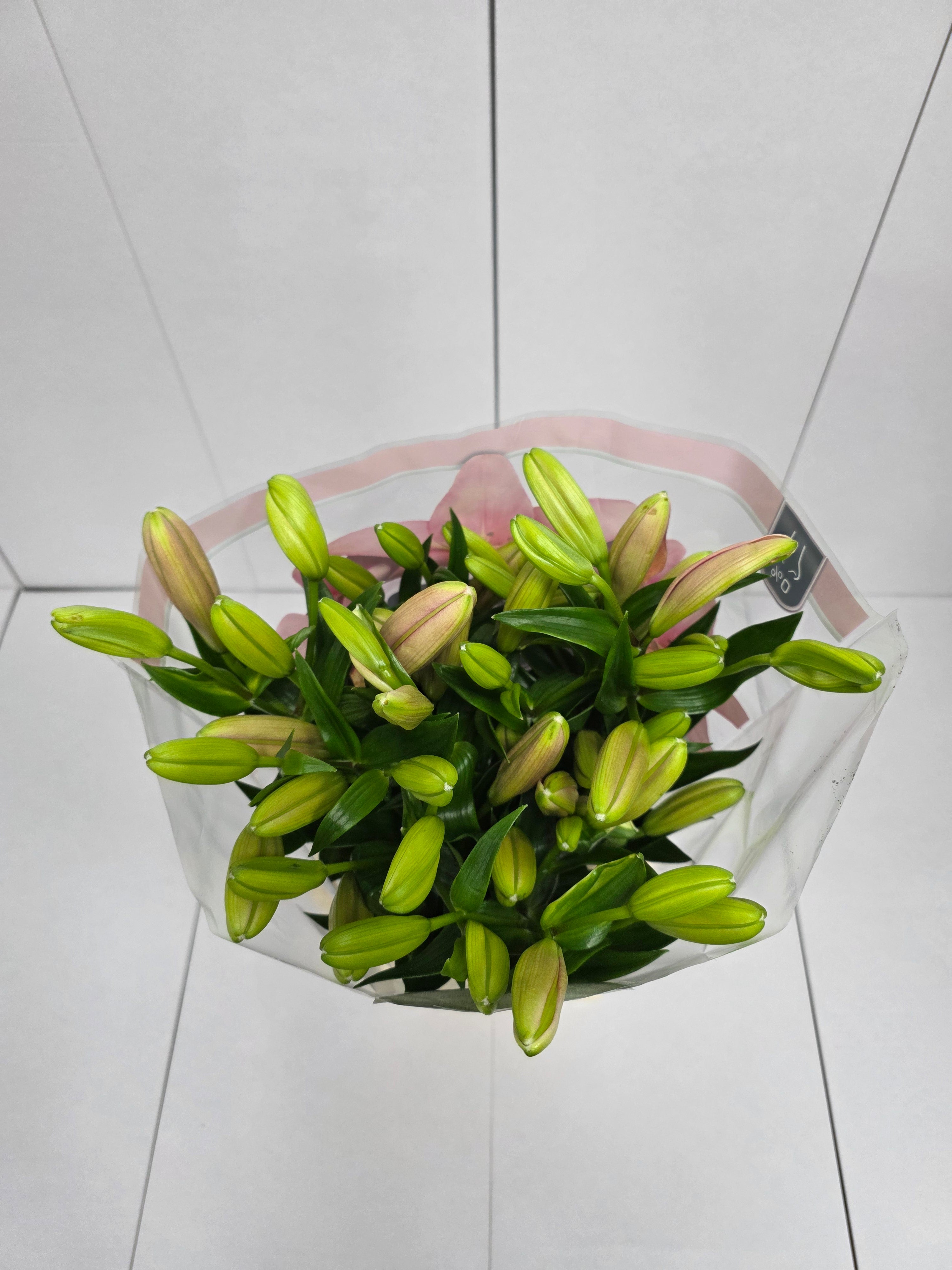 Farm Fresh  Lilium Longifl. x Aziat Brindisi 4+ (Bunch of 10 stems, Length 80cm)
