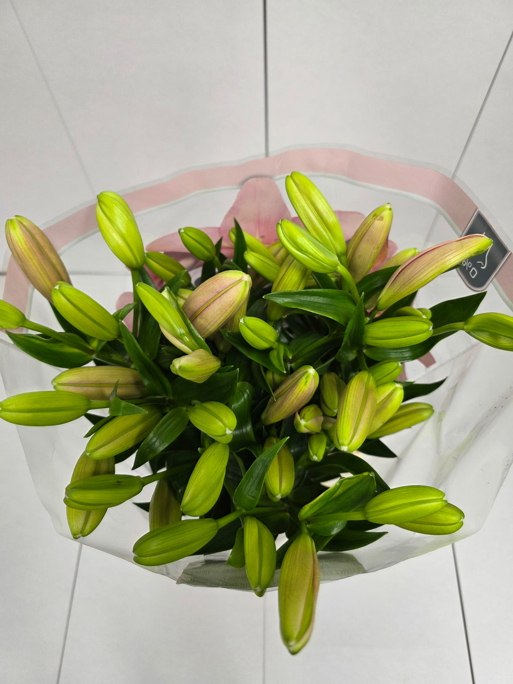 Farm Fresh  Lilium Longifl. x Aziat Brindisi 4+ (Bunch of 10 stems, Length 80cm)