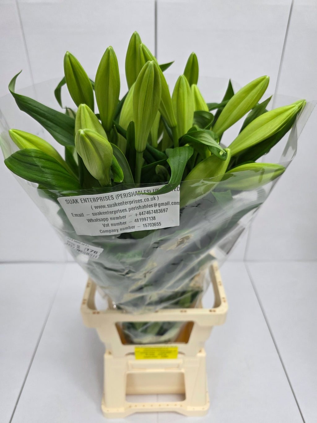 Farm Fresh Lilium Longifloram Watch up 2+(Bunch of 10stems,Length 90cm)