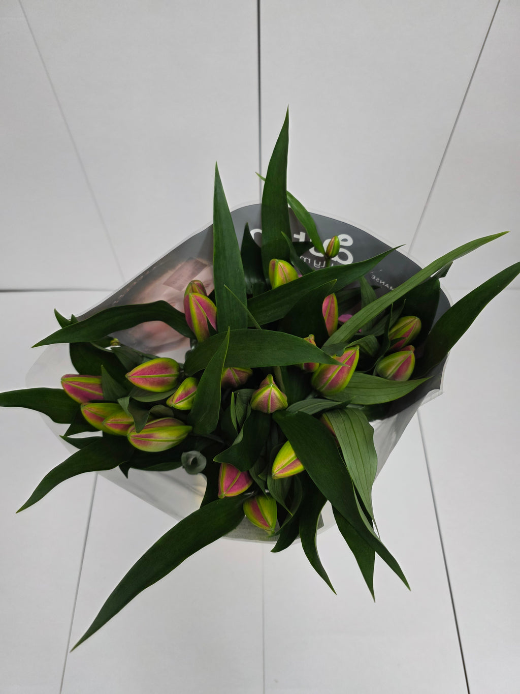 Farm Fresh Lilium Oriental Dalian(Bunch of 10stems,Length 80cm)