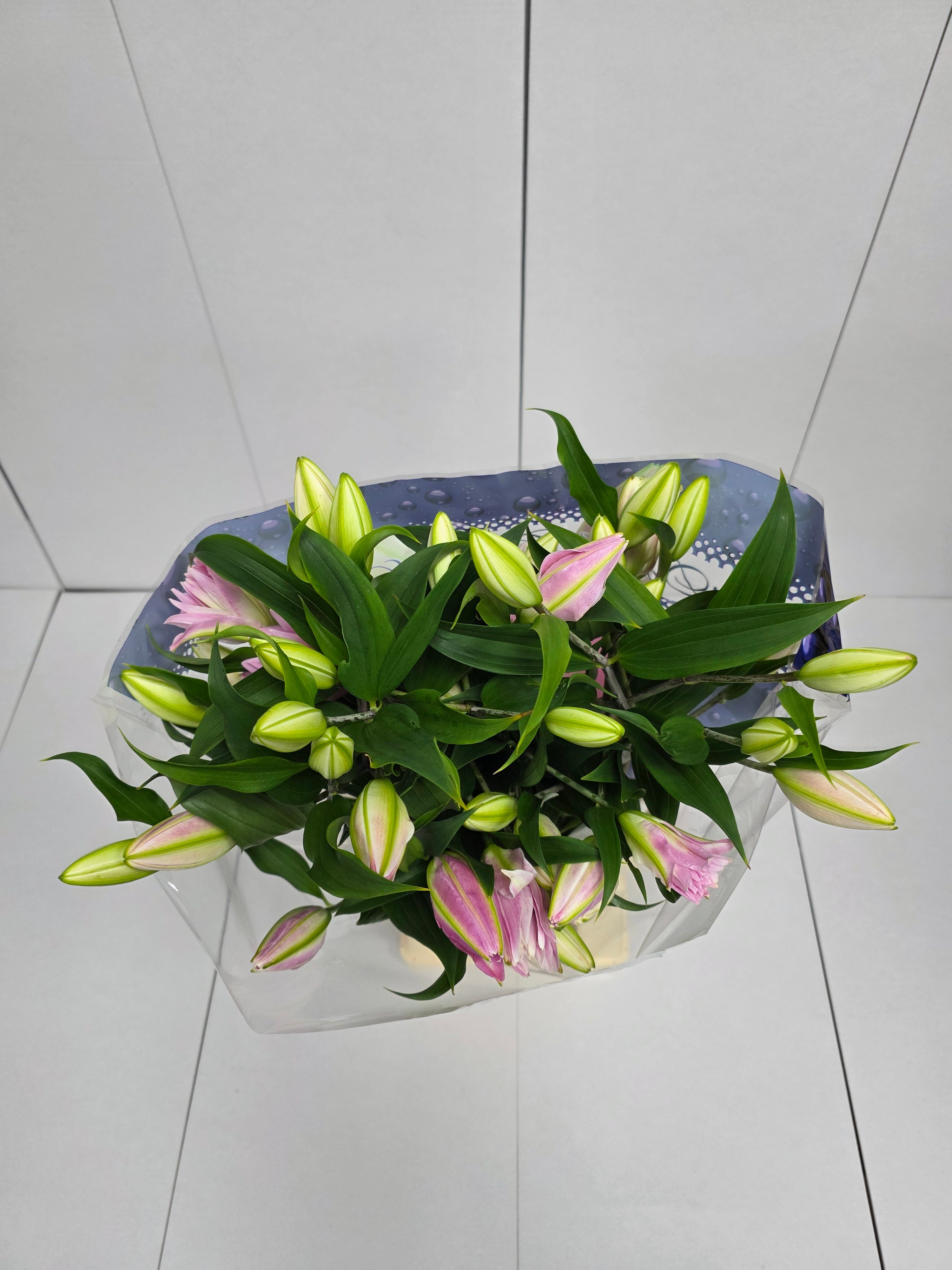 Farm Fresh Lilium Oriental Kadamgo 4+ double (Bunch of 10stems,Length 90cm)